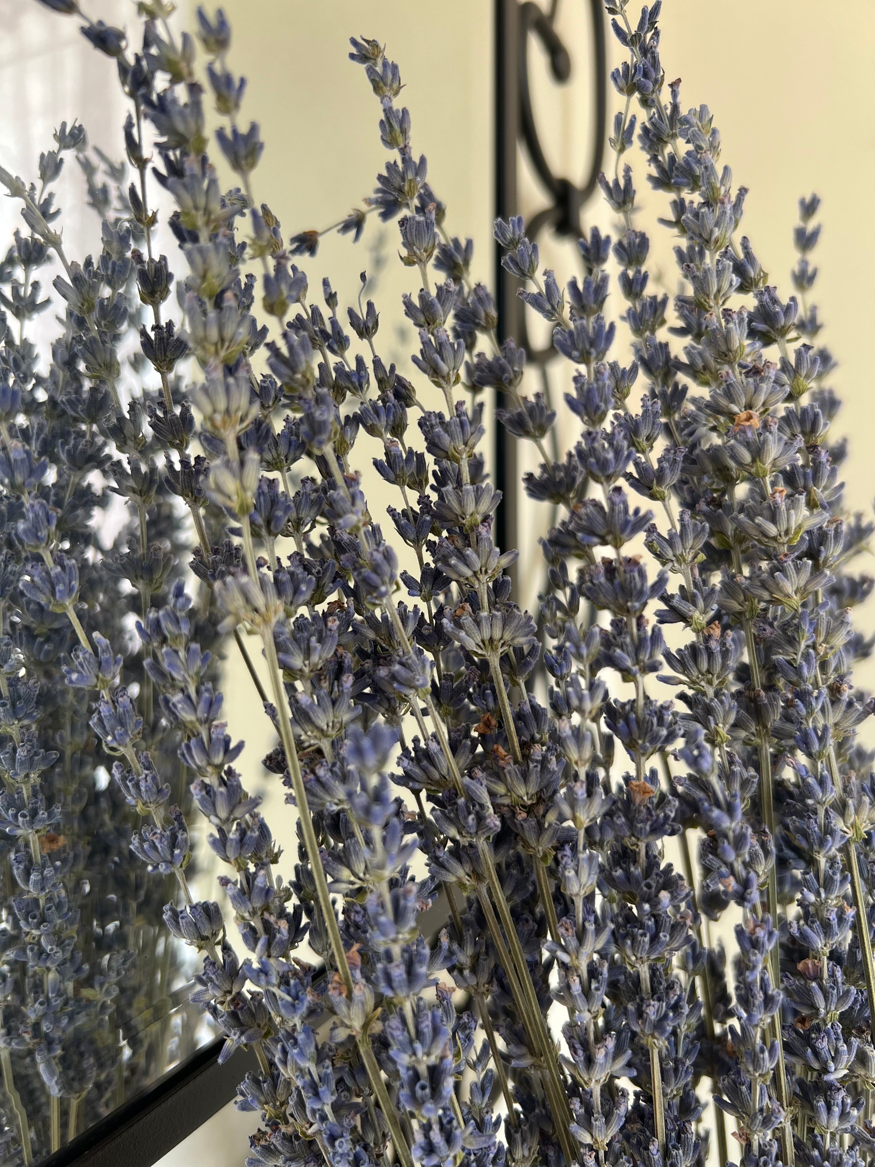 Dried Lavender