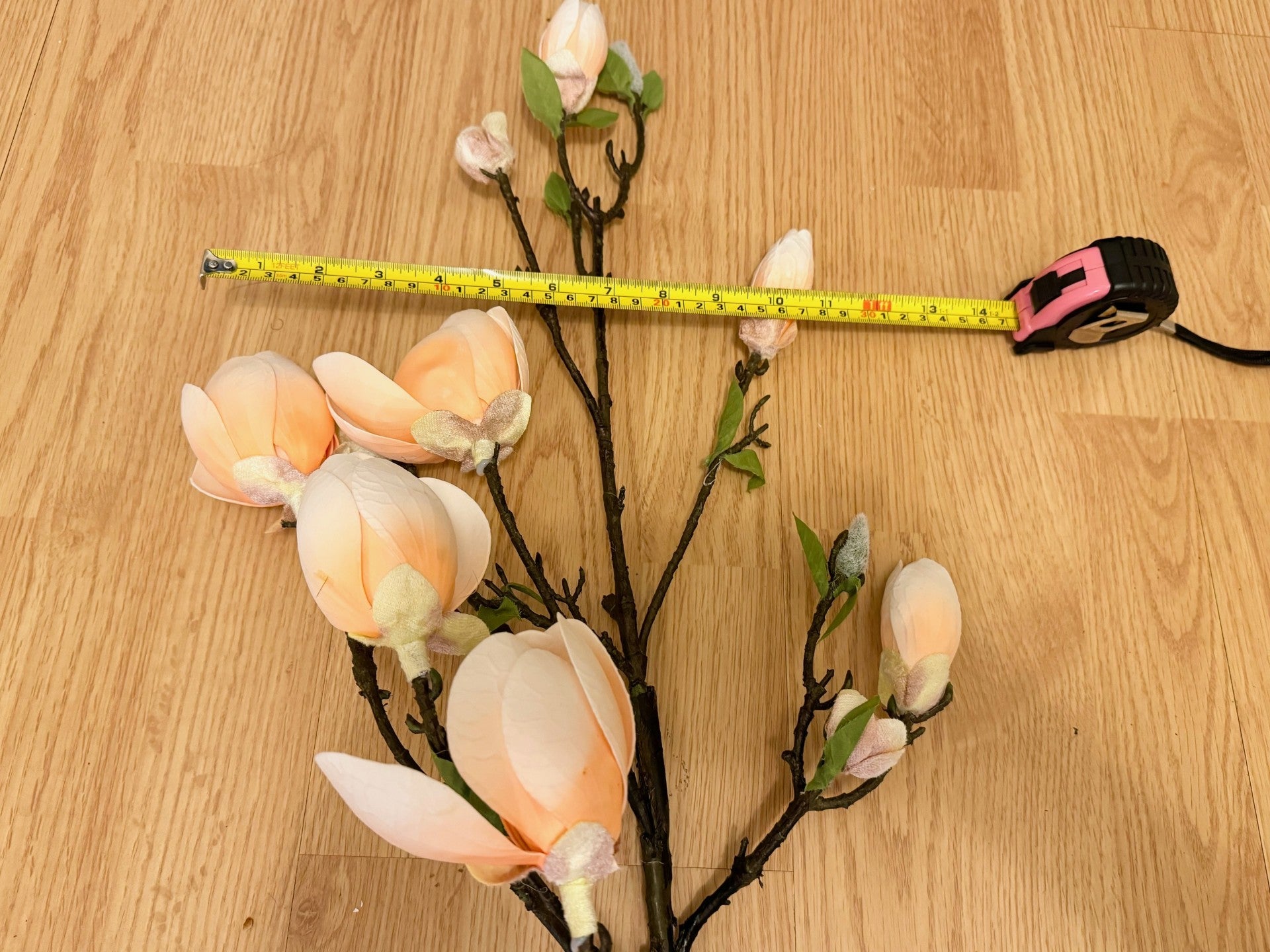 Magnolia Tree Branches 