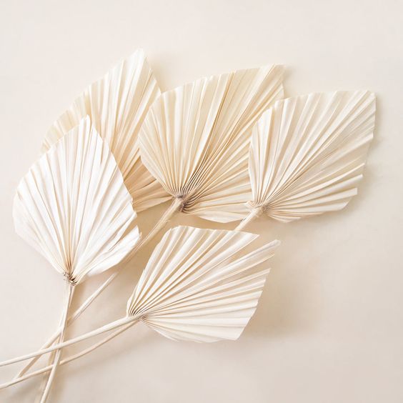 MINI BOHO PALM LEAVES