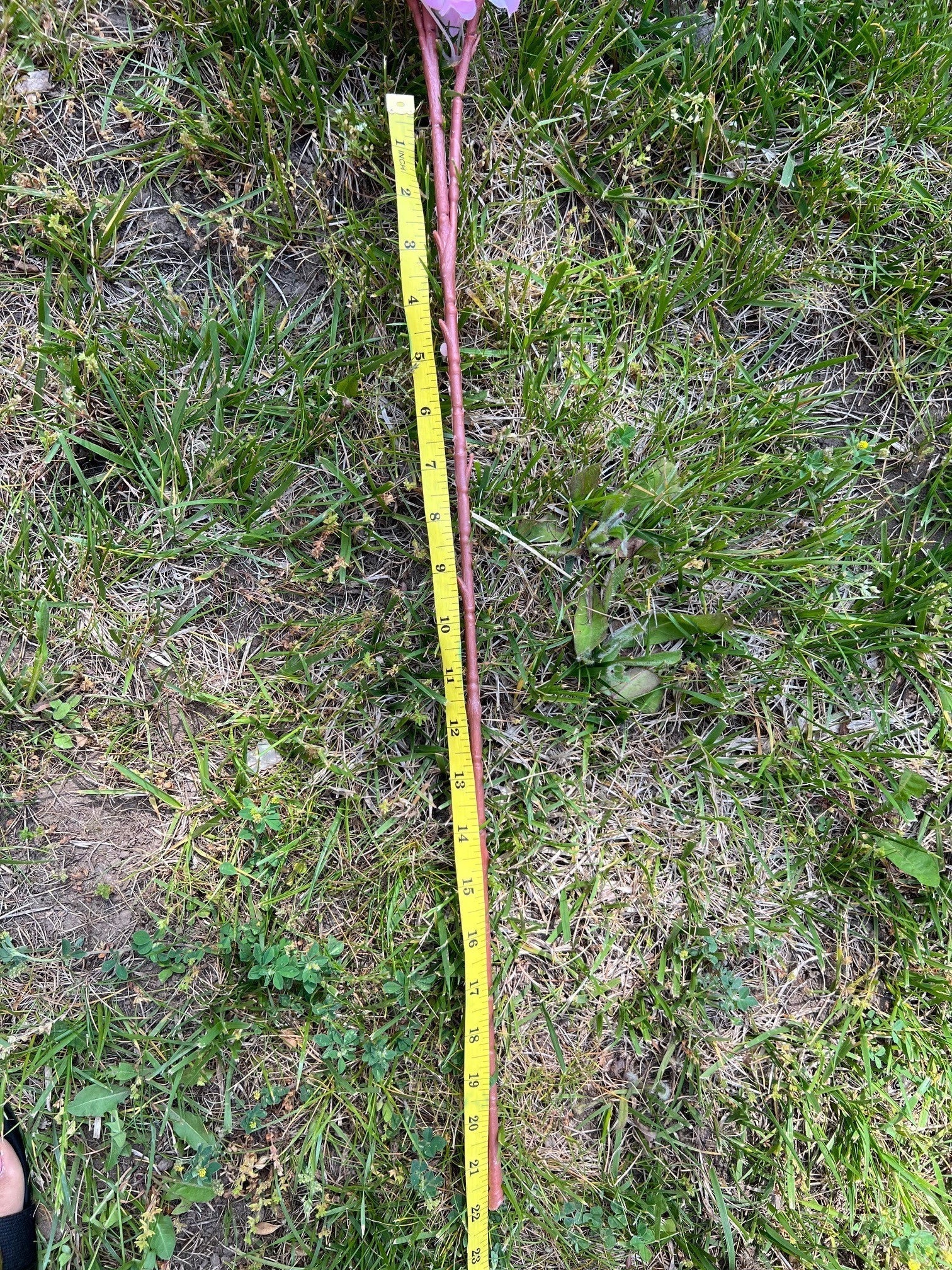 silk cherry blossom faux