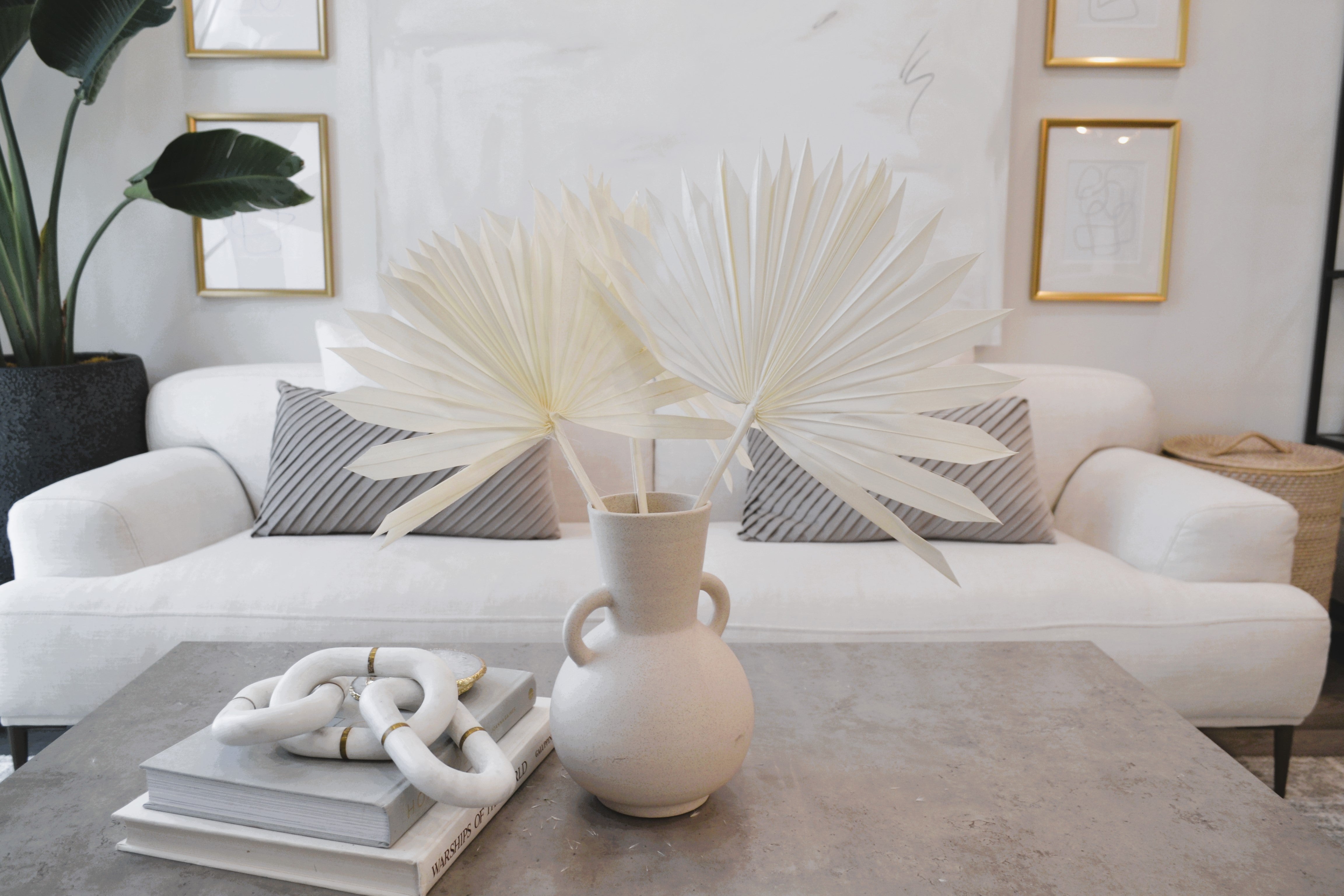 PRESERVED SUN FAN PALM LEAF