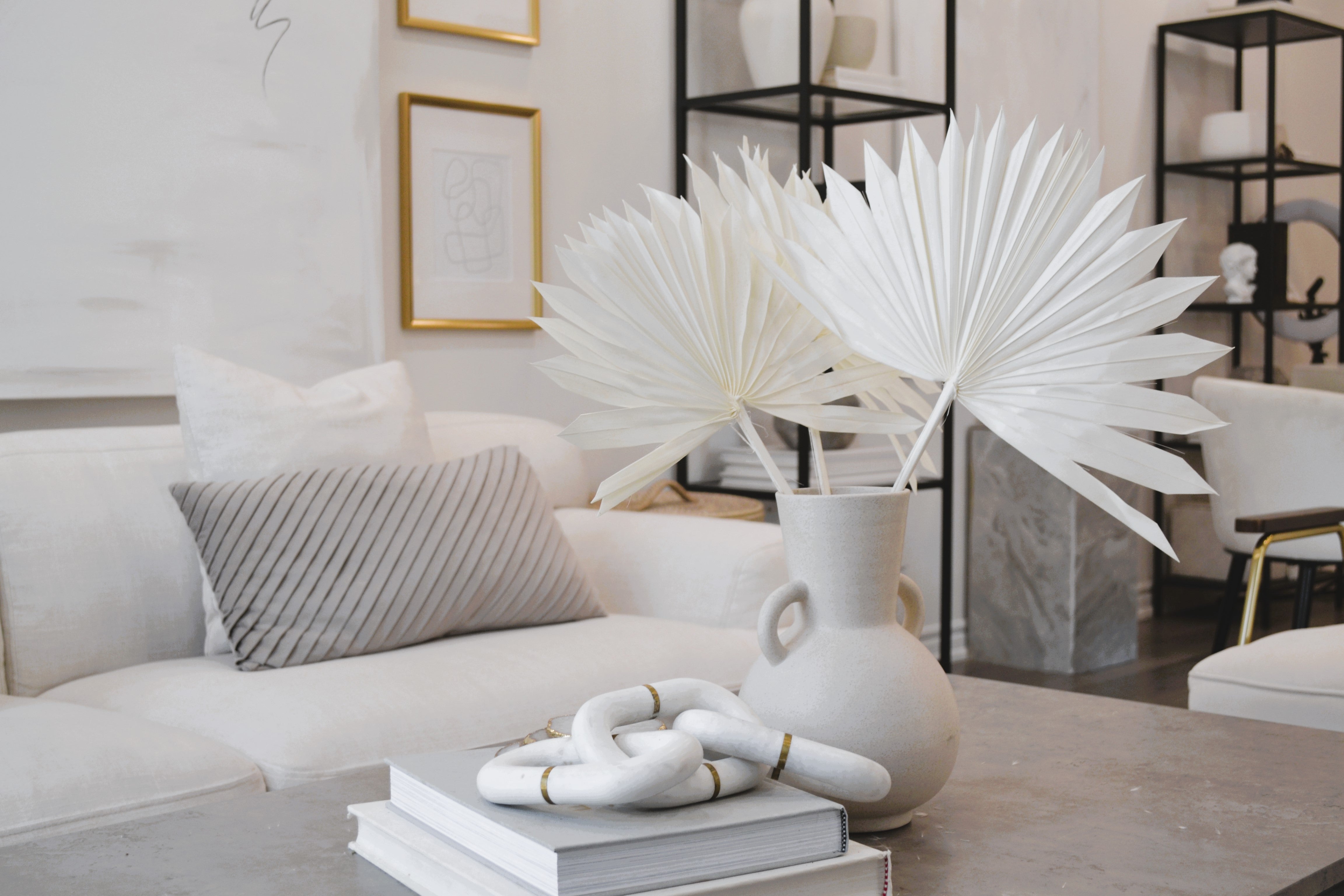 PRESERVED SUN FAN PALM LEAF