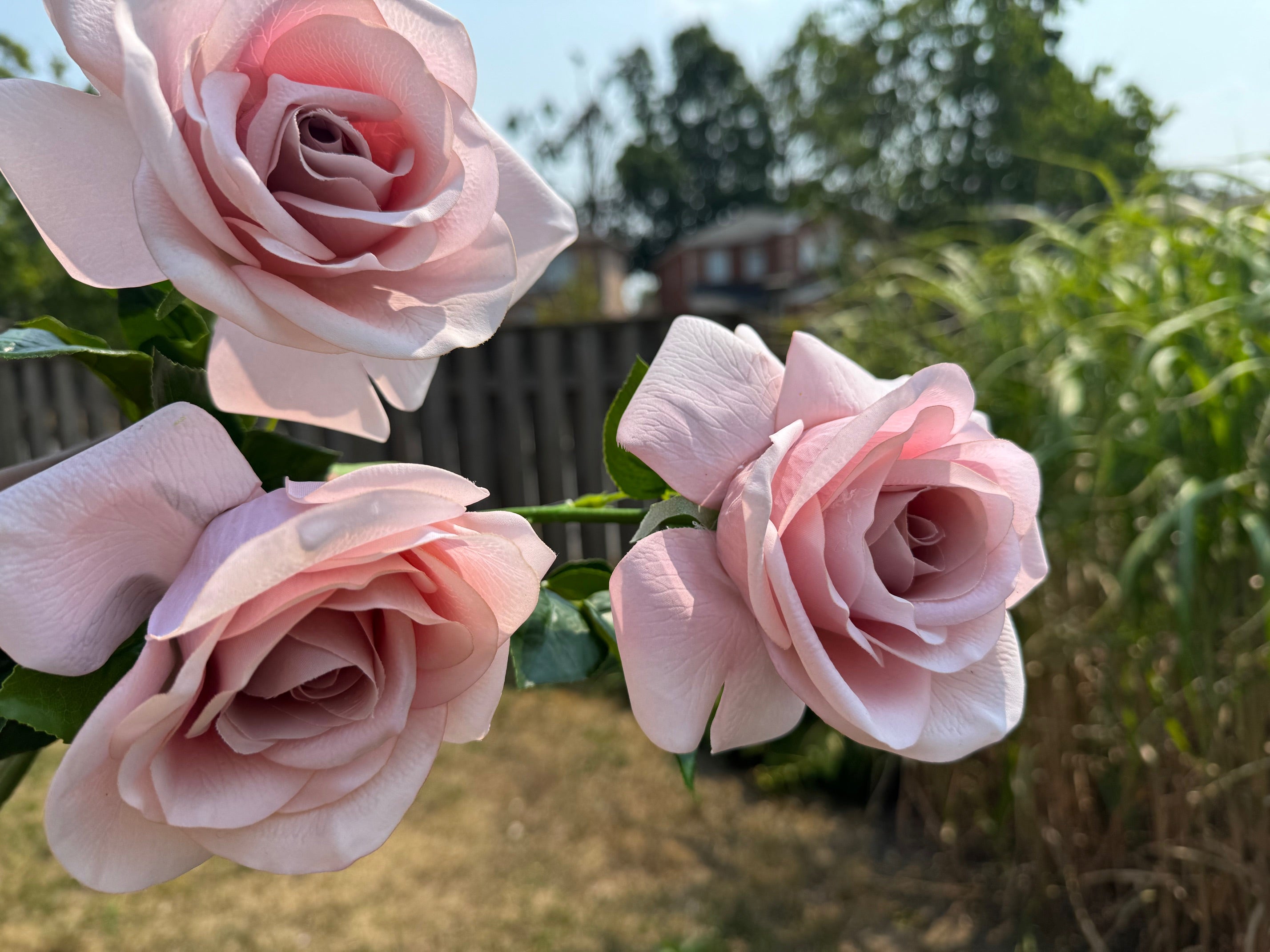 Artificial Roses for Decoration 