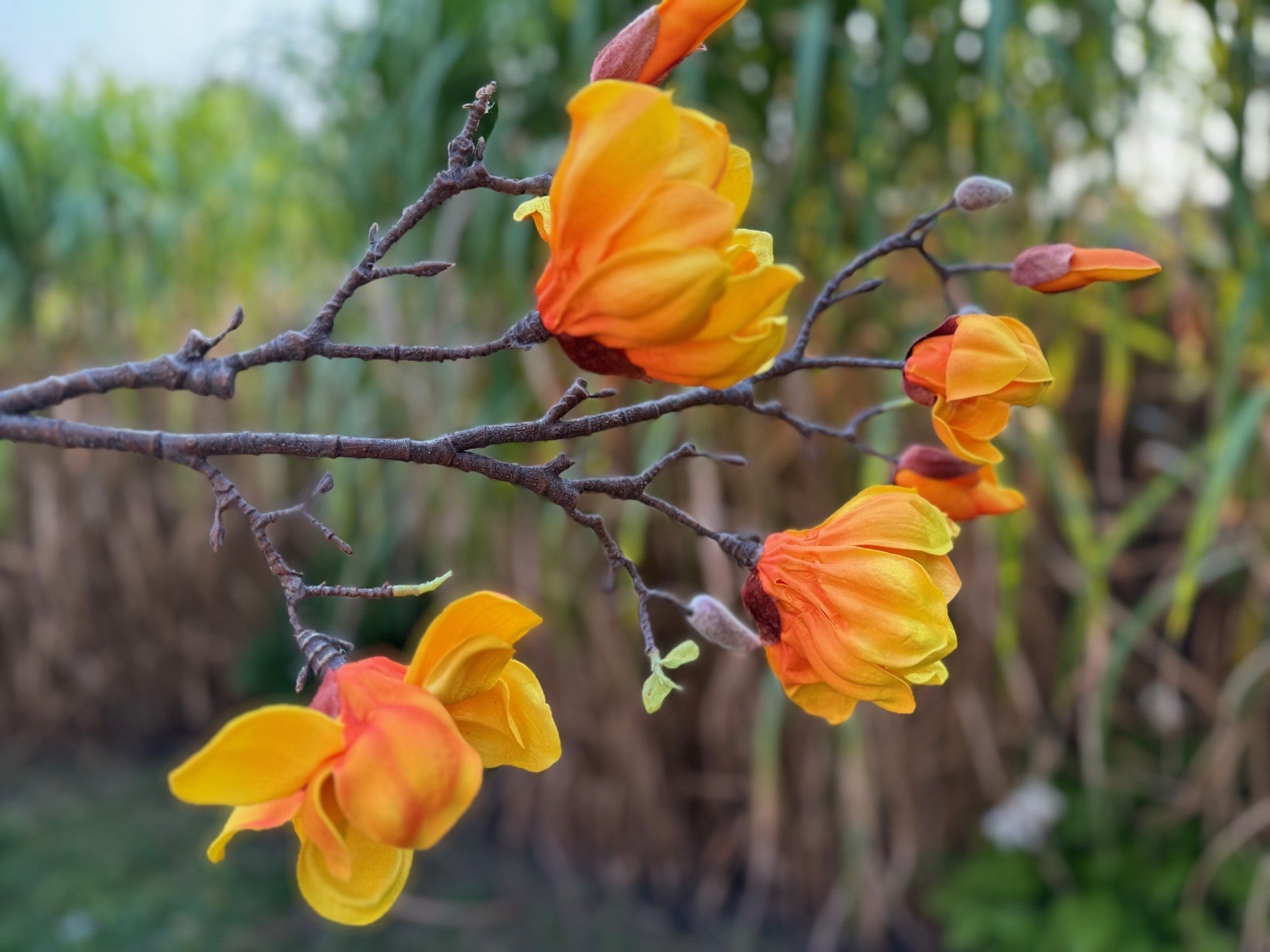 magnolia flowers branches faux