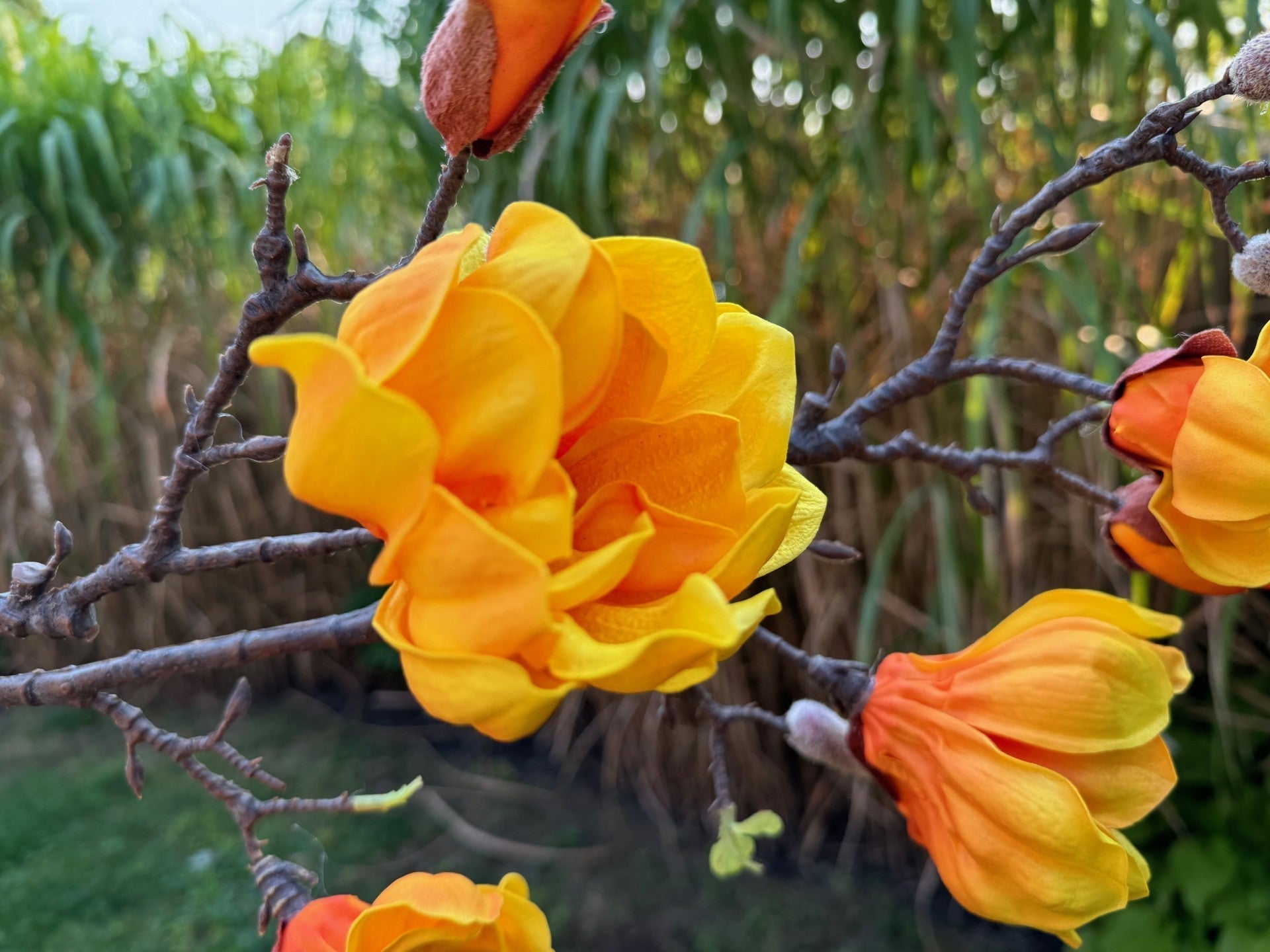 magnolia flowers branches faux