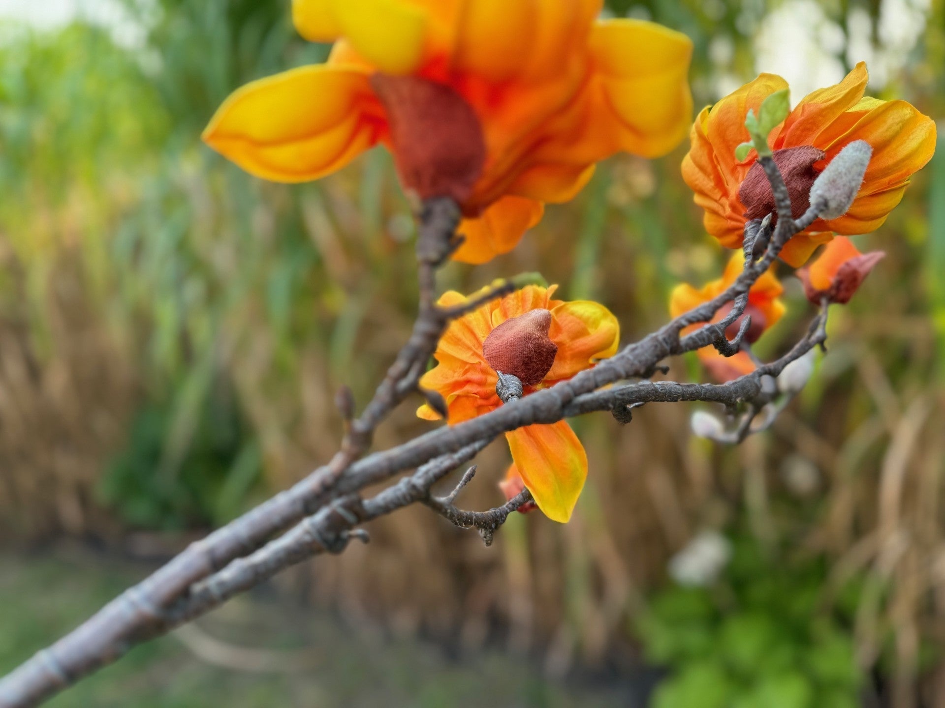 magnolia flowers branches faux