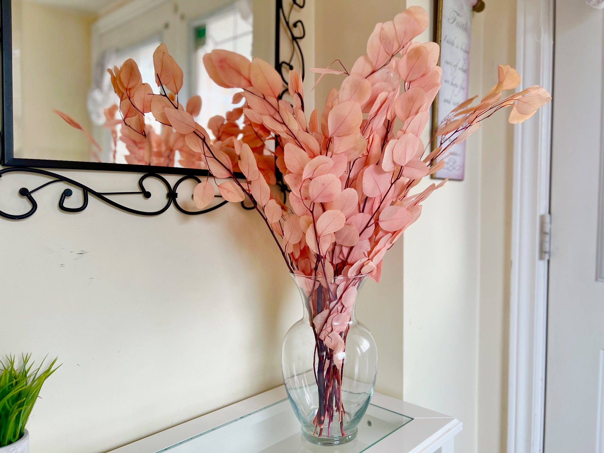 Silver Dollar Eucalyptus 