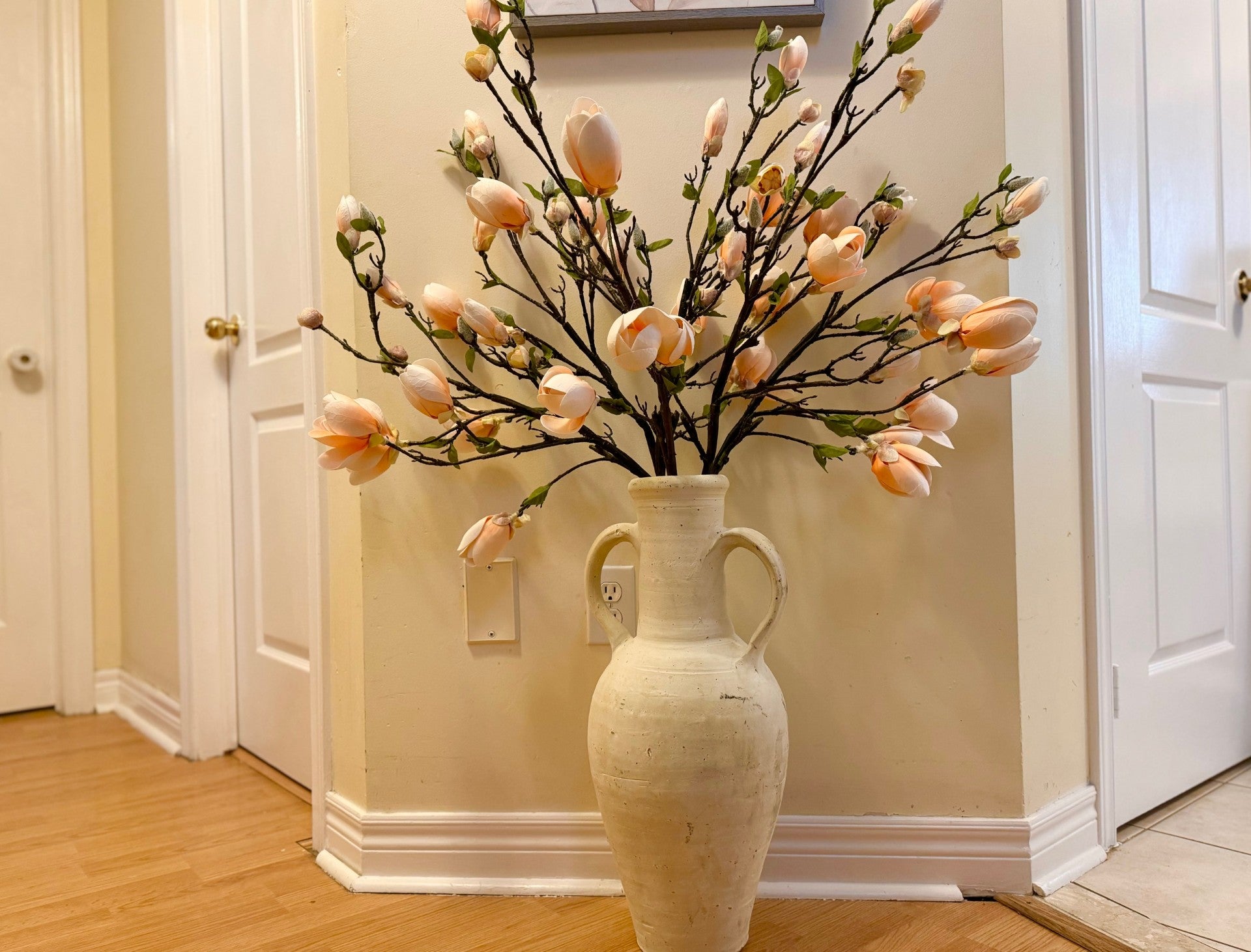 Magnolia Tree Branches 