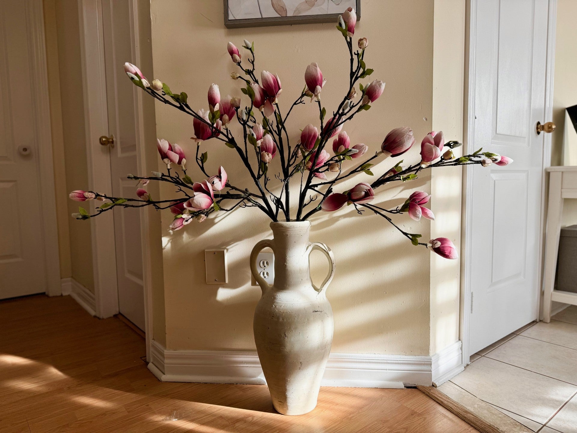 Magnolia Tree Branches 