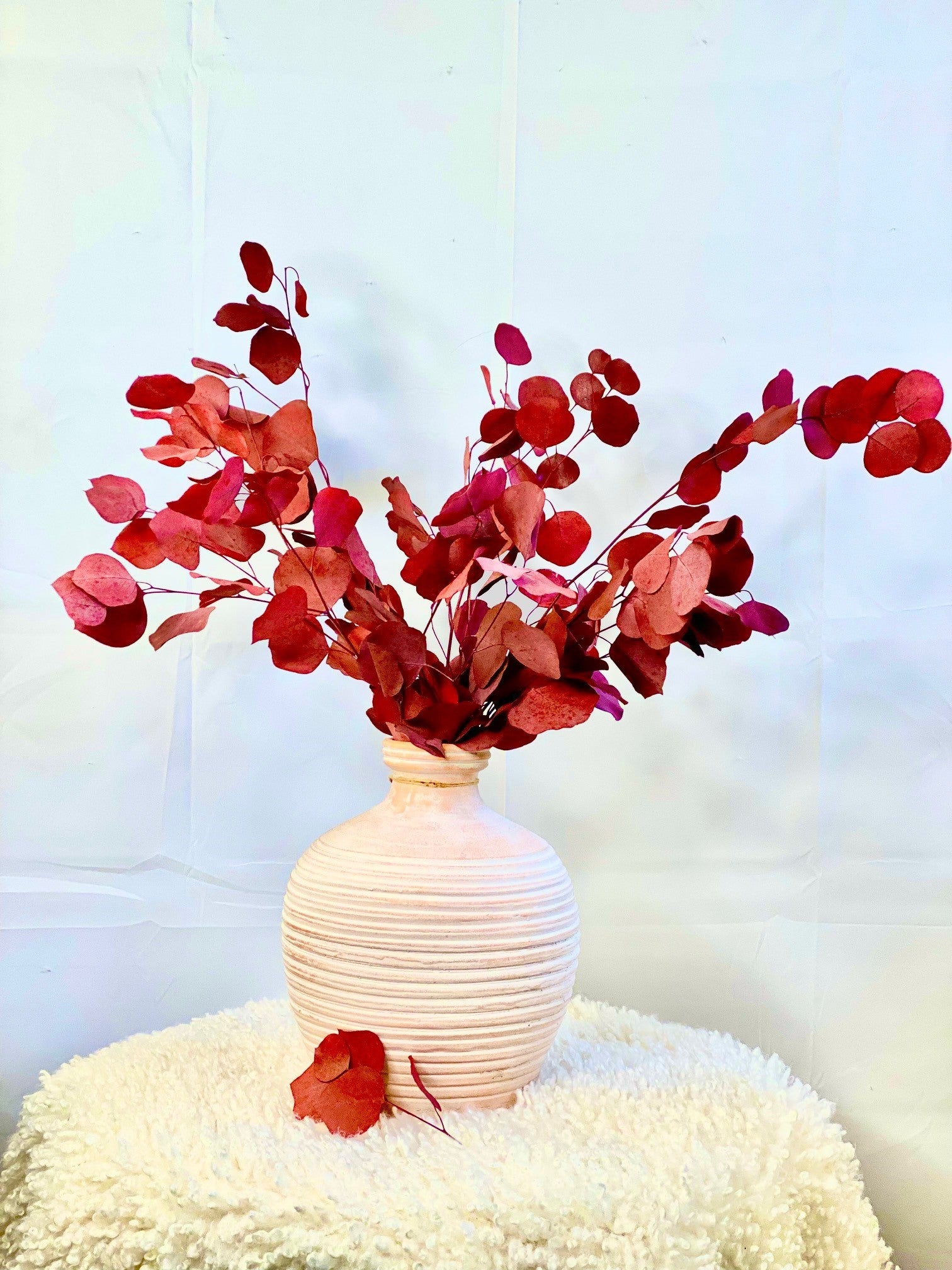 Silver Dollar Eucalyptus 