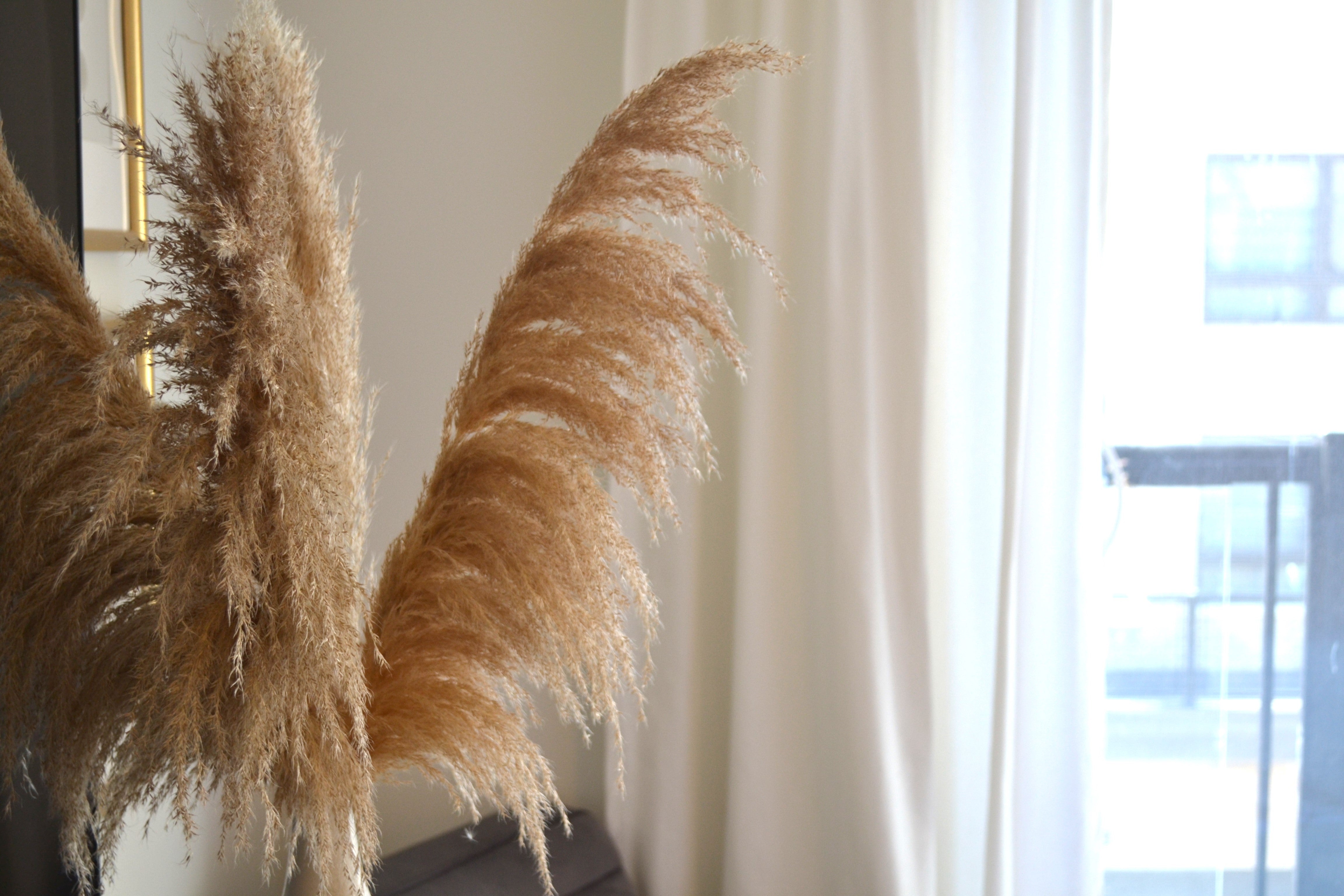 STYLE 2 - NATURAL BROWN PAMPAS GRASS
