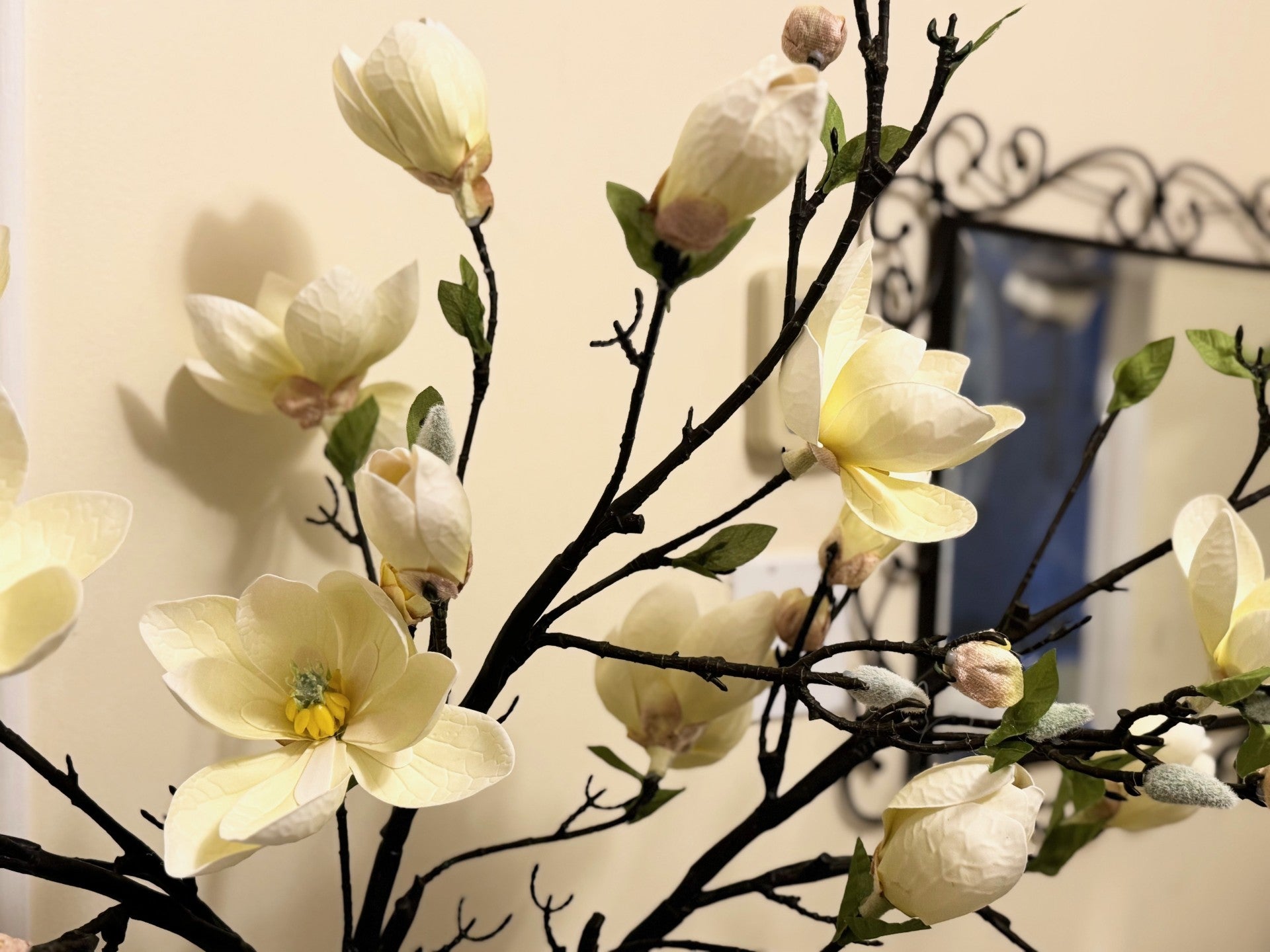 Magnolia Tree Branches 