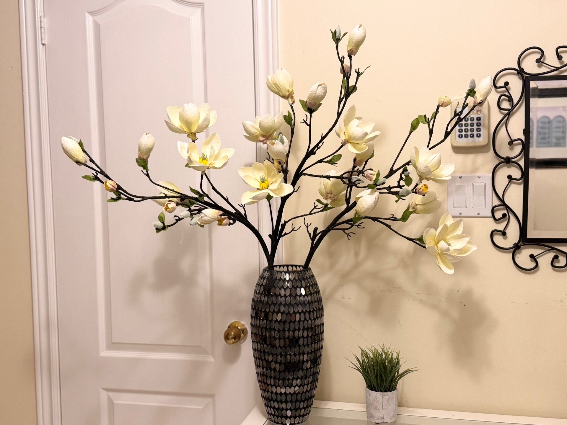 Magnolia Tree Branches 