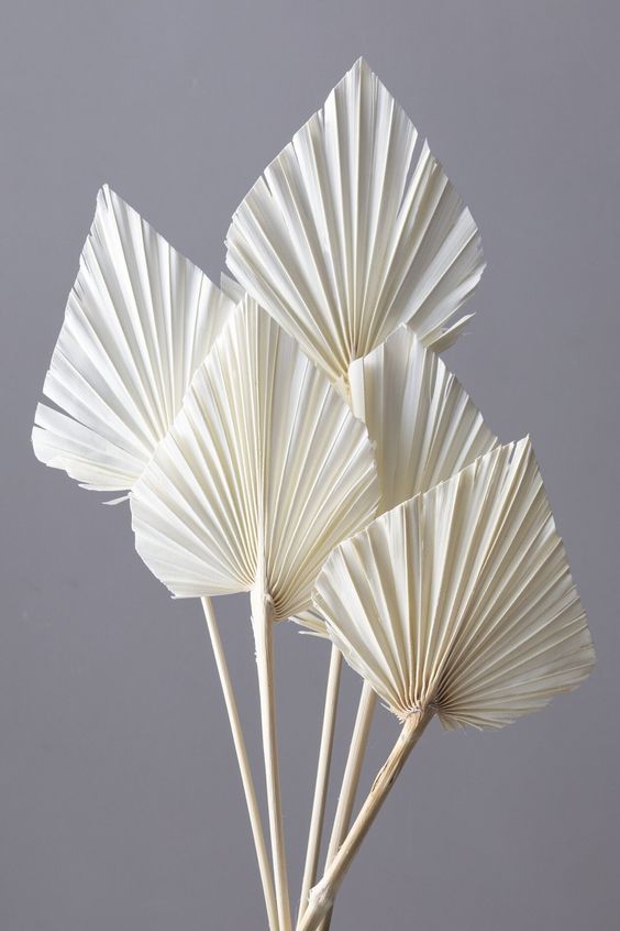 MINI BOHO PALM LEAVES