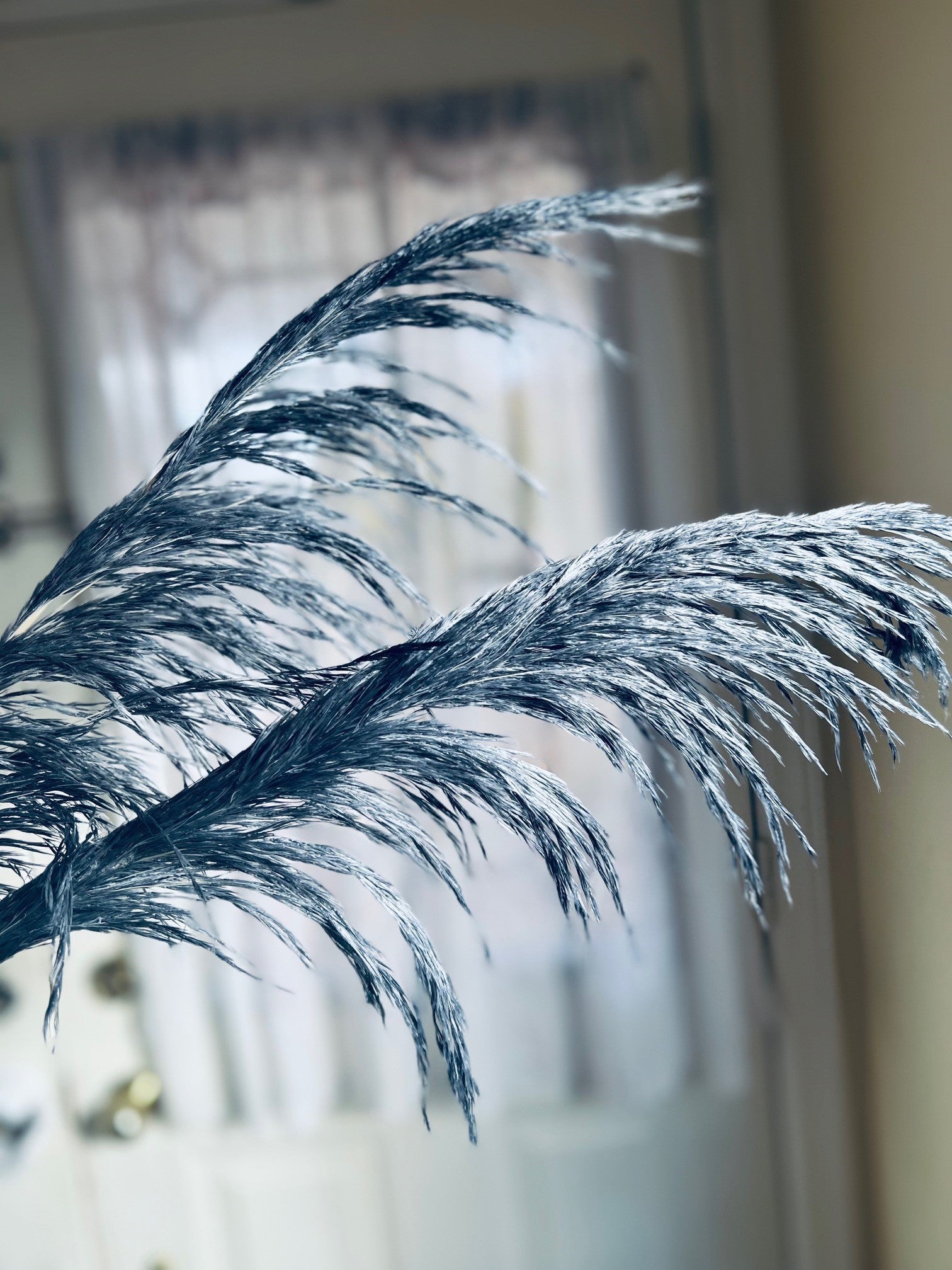preserved silky chic pampas grass