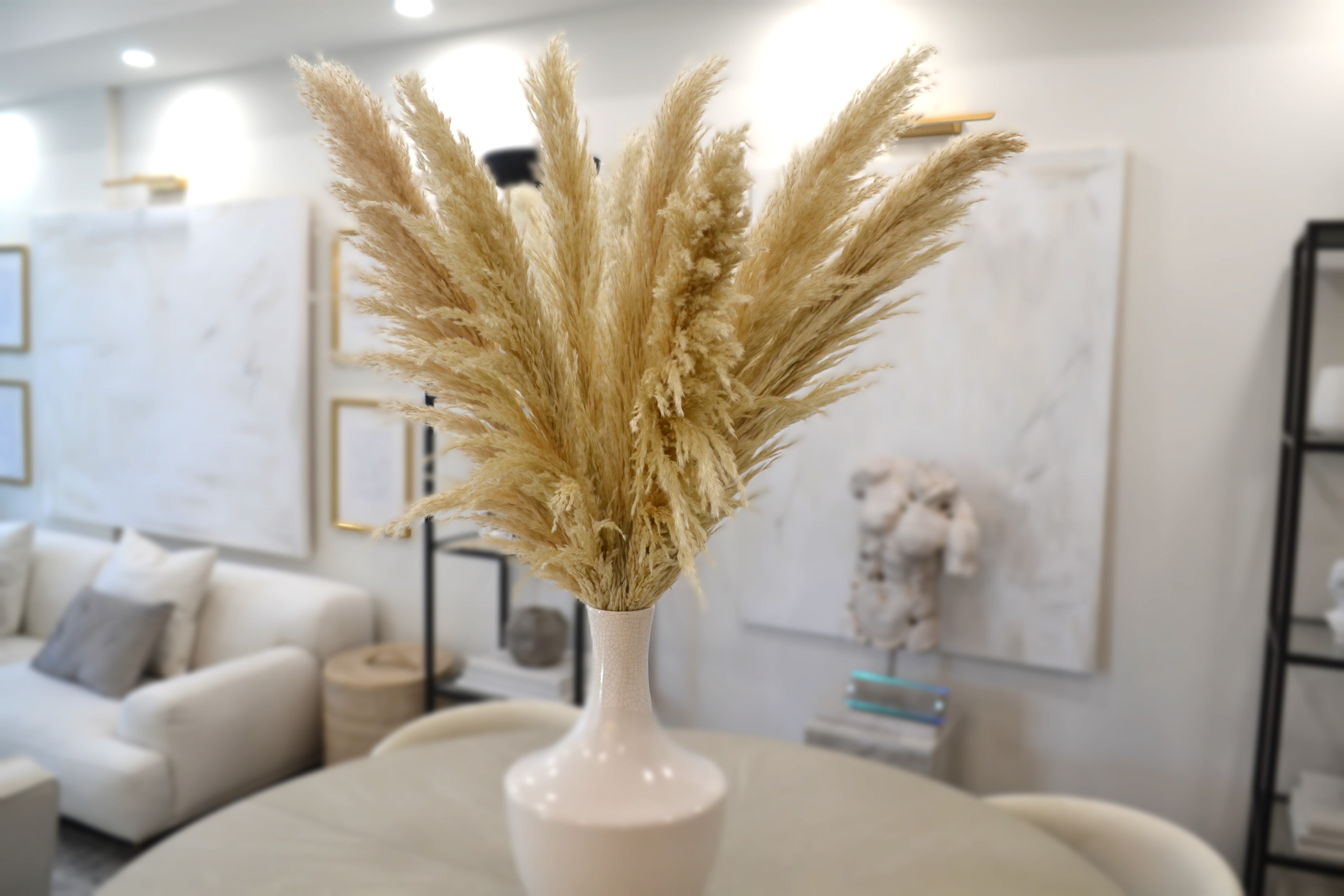Natural Pampas Grass 