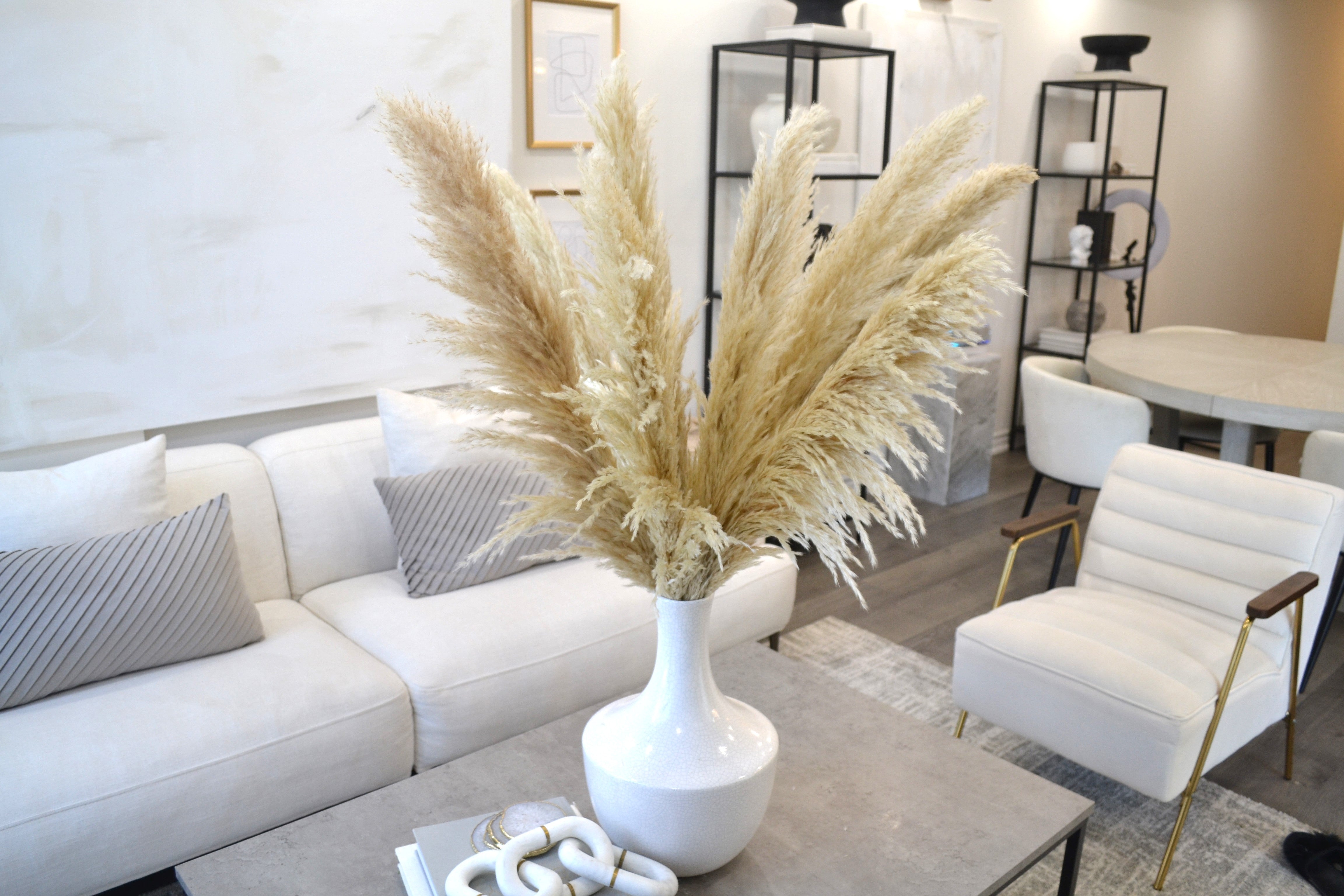 Natural Pampas Grass 