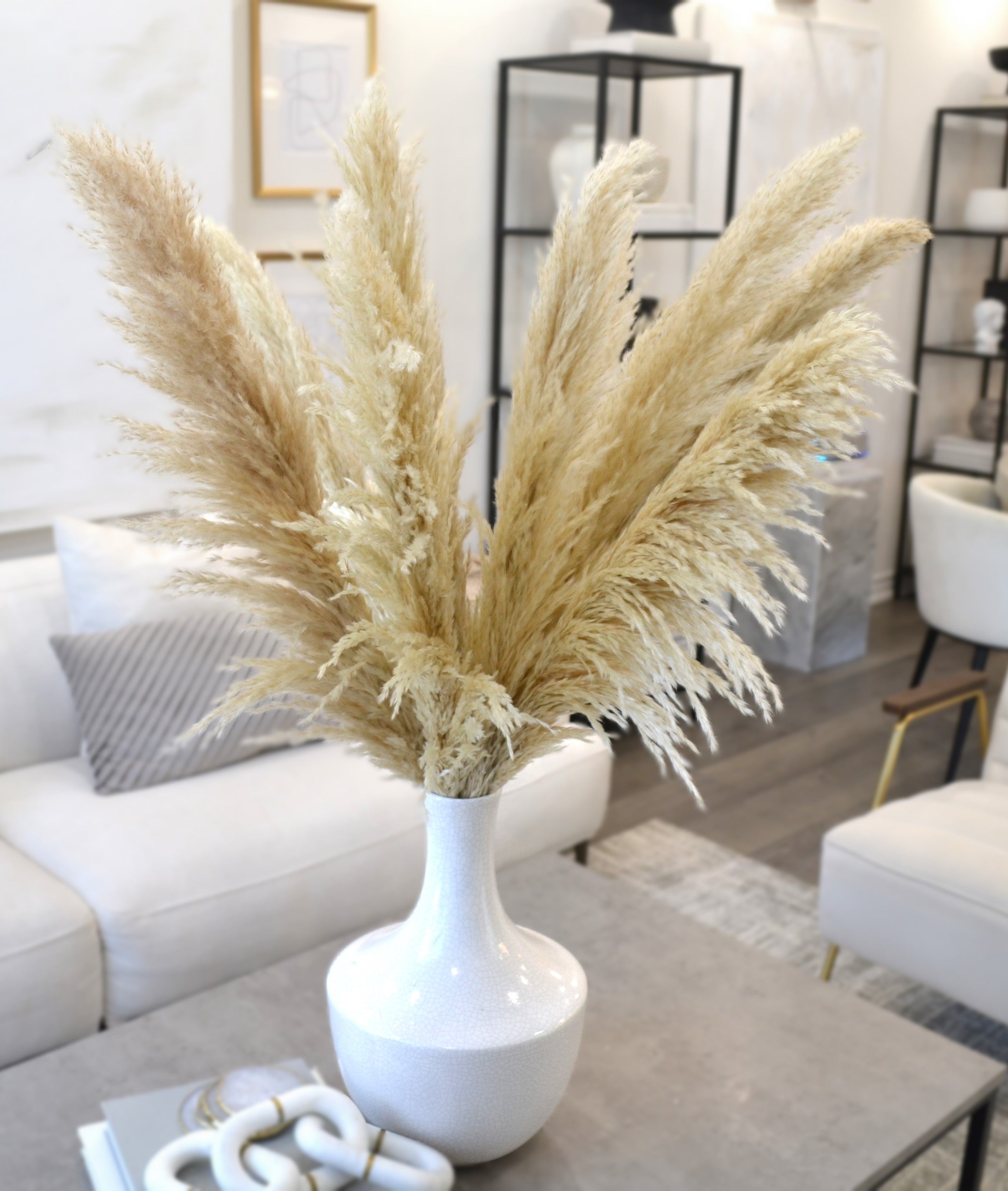 Natural Pampas Grass 