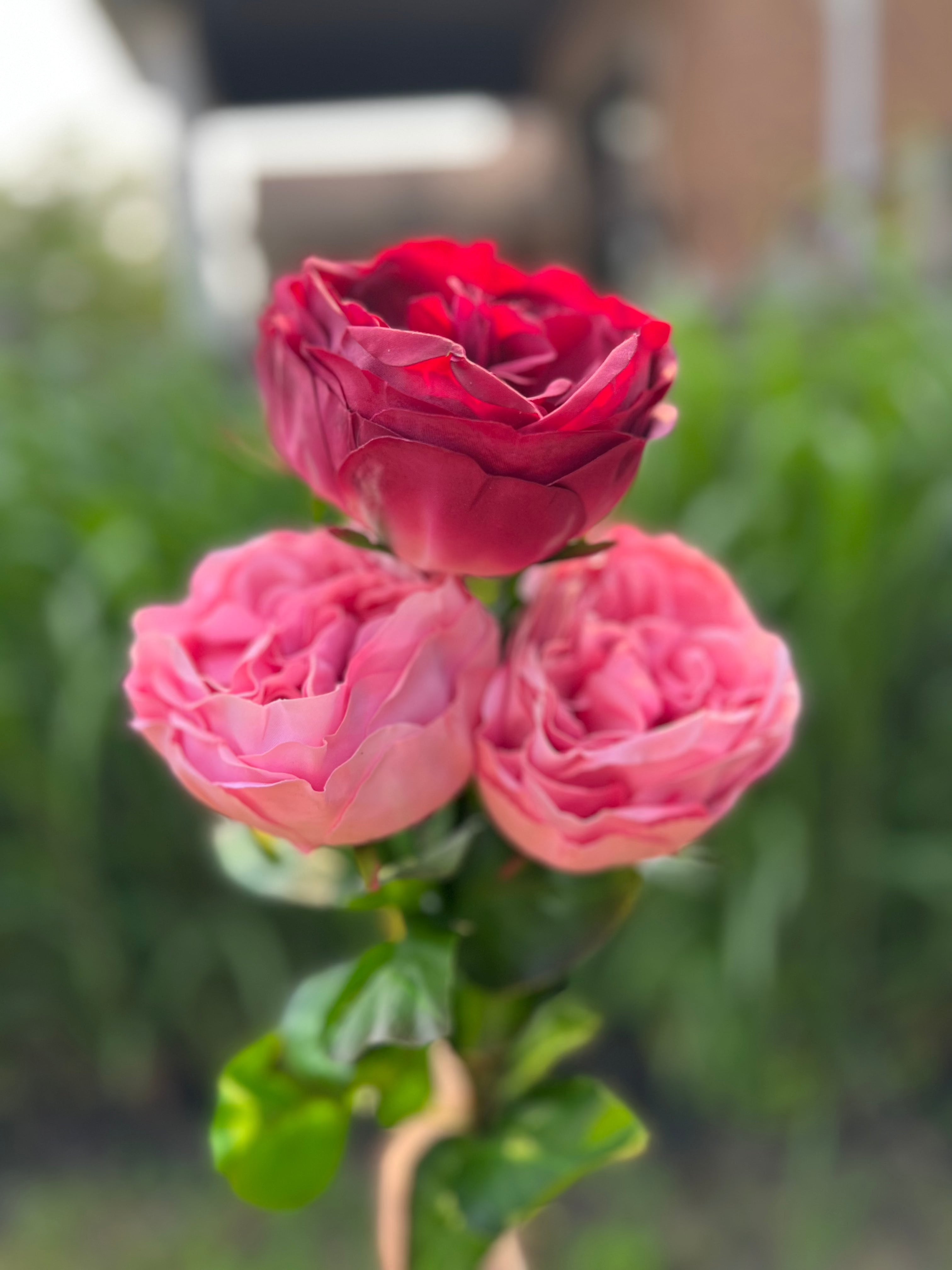 2 REAL TOUCH ARTIFICIAL AUSTIN ROSES