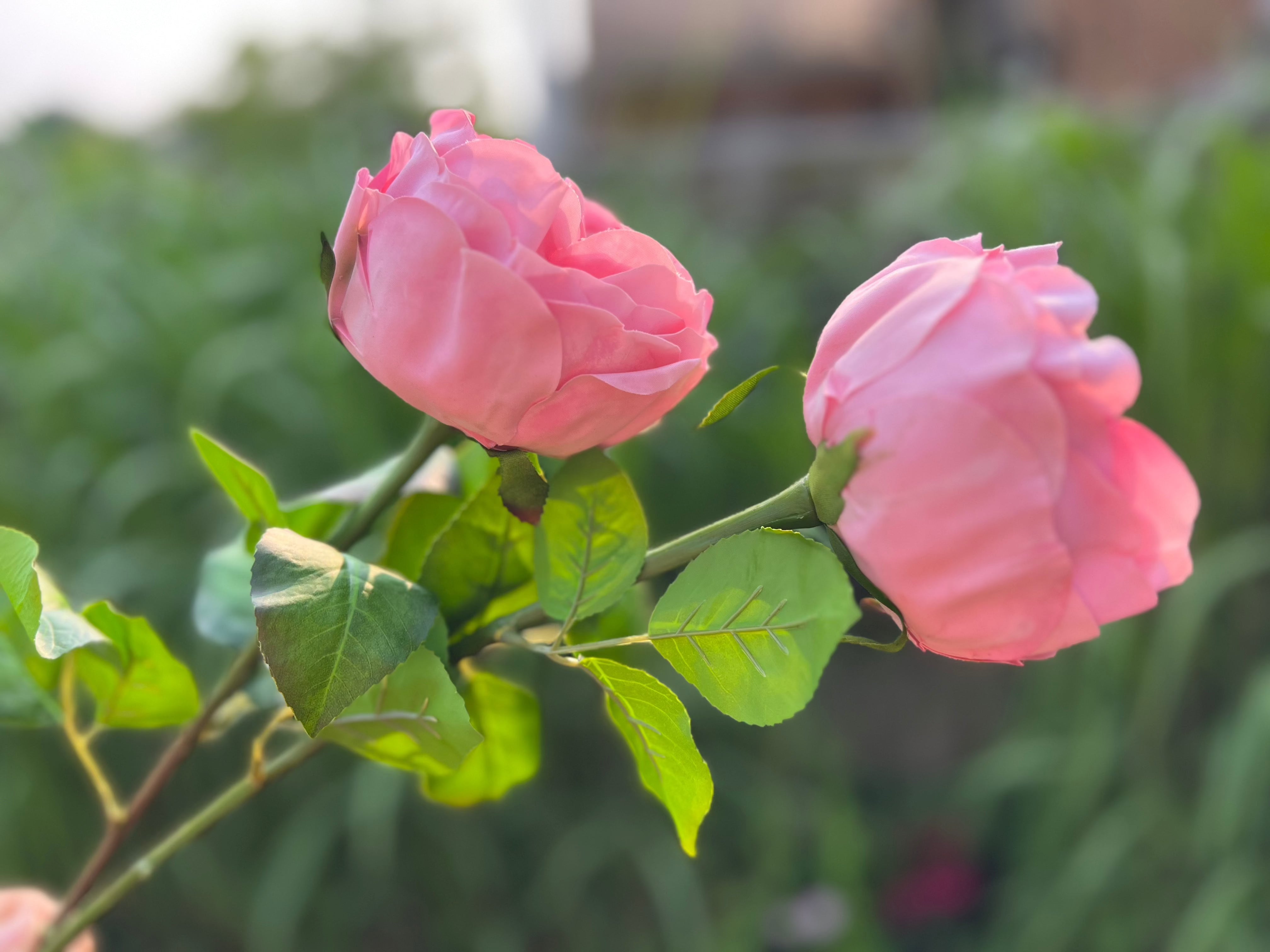 2 REAL TOUCH ARTIFICIAL AUSTIN ROSES