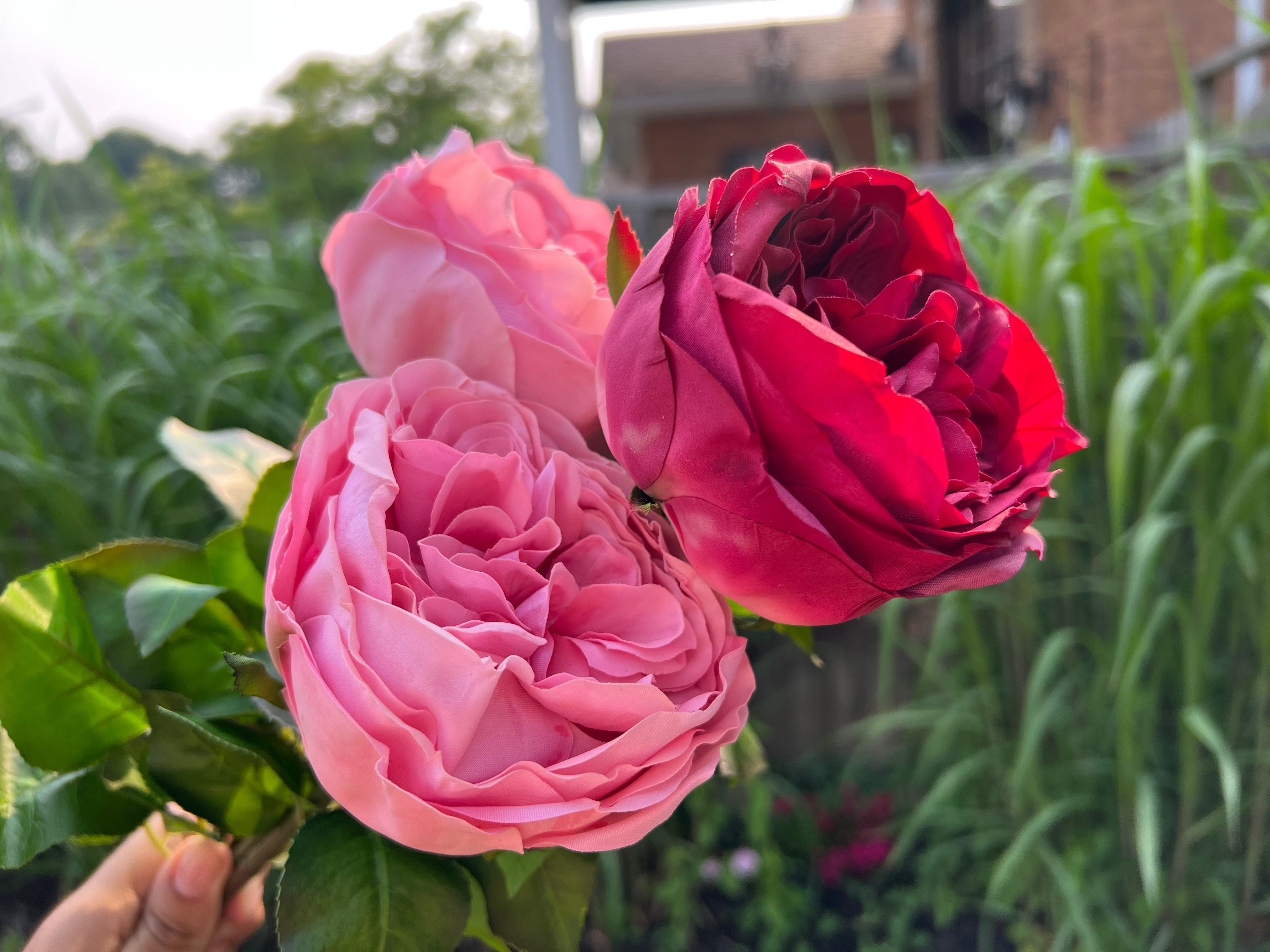 2 REAL TOUCH ARTIFICIAL AUSTIN ROSES