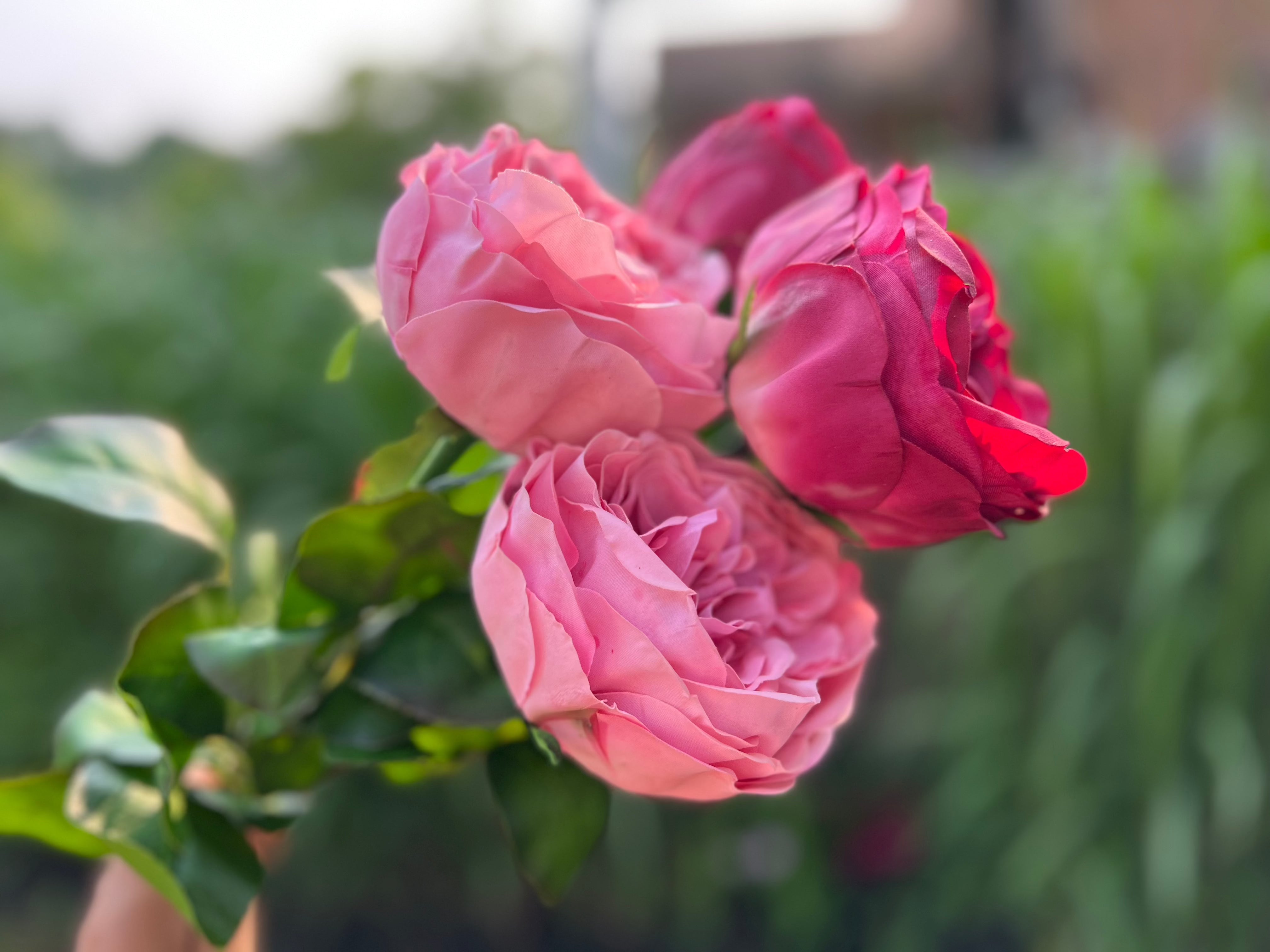 2 REAL TOUCH ARTIFICIAL AUSTIN ROSES