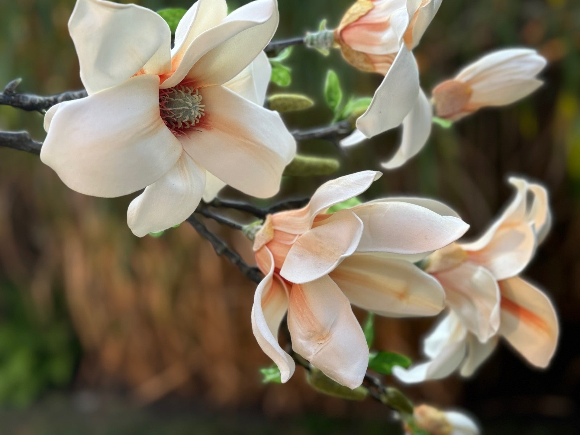 magnolia flowers faux