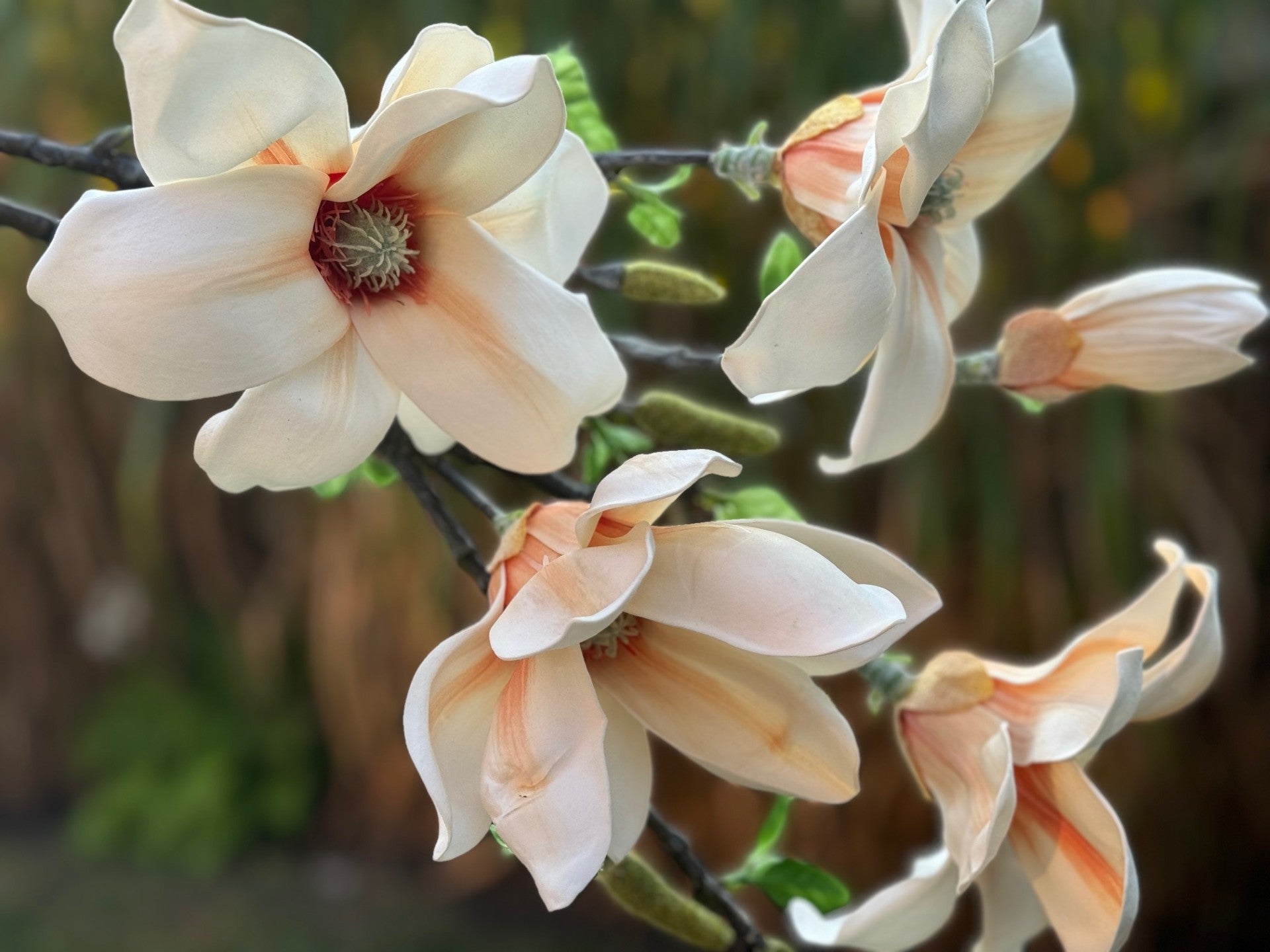 magnolia flowers faux