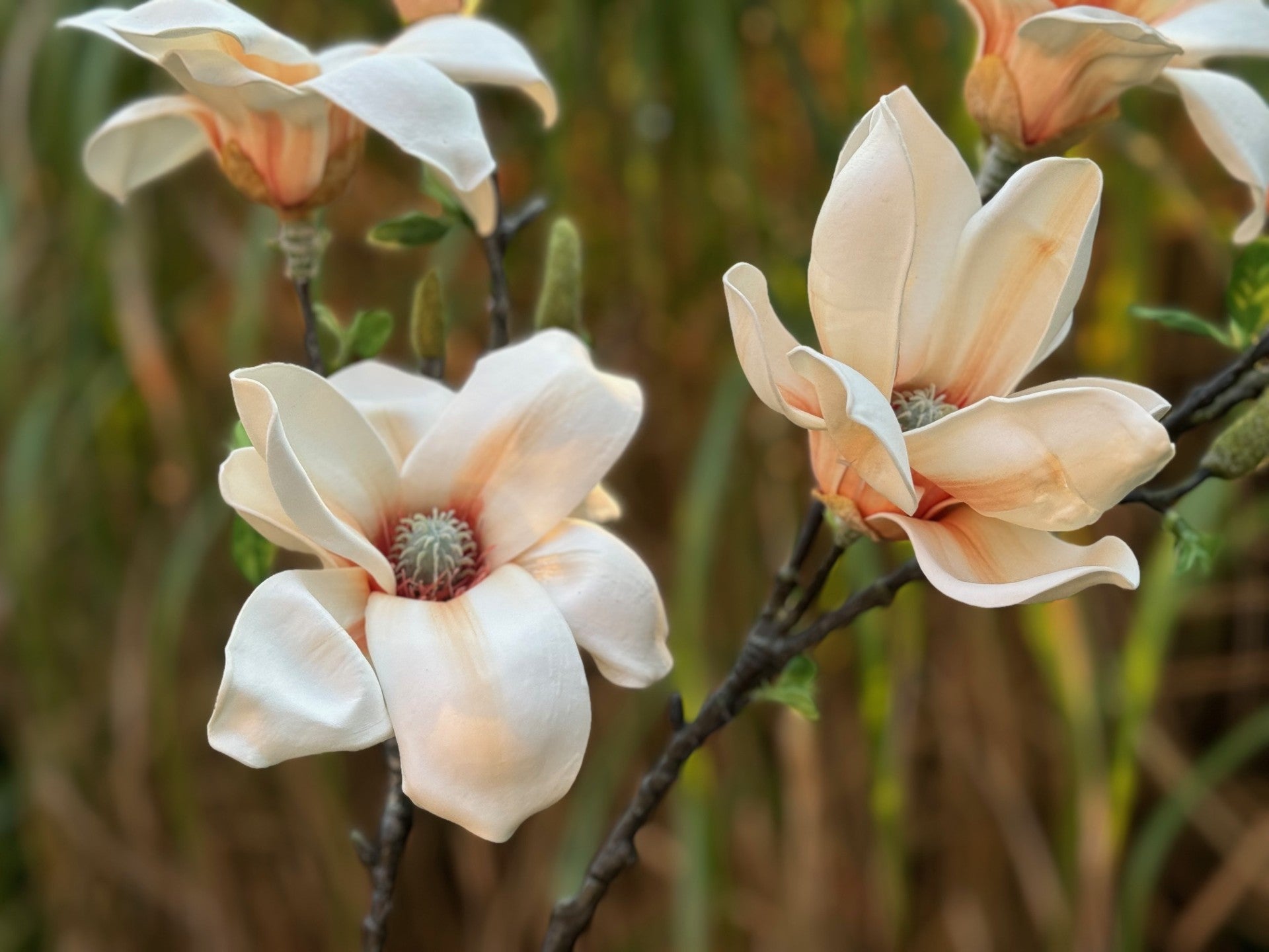 magnolia flowers faux