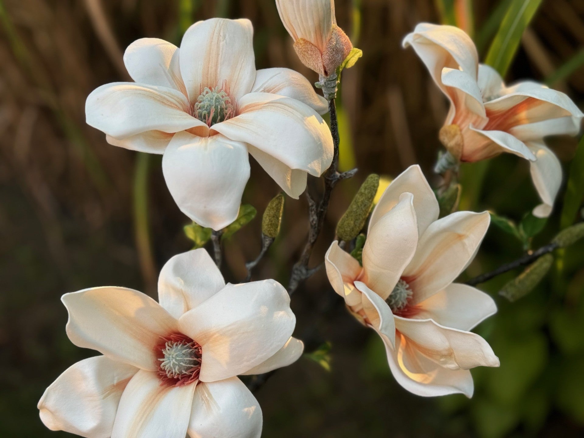 magnolia flowers faux