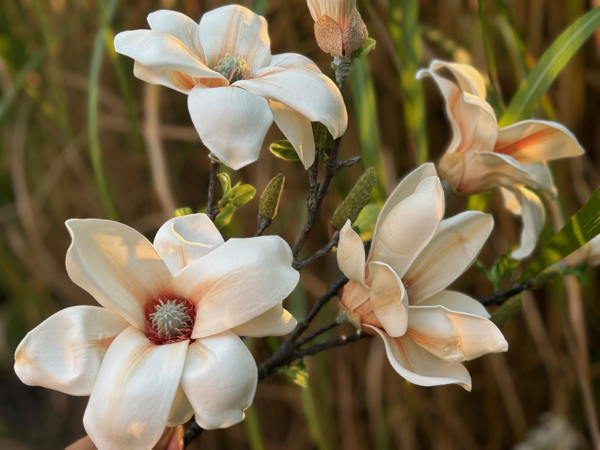 magnolia flowers faux