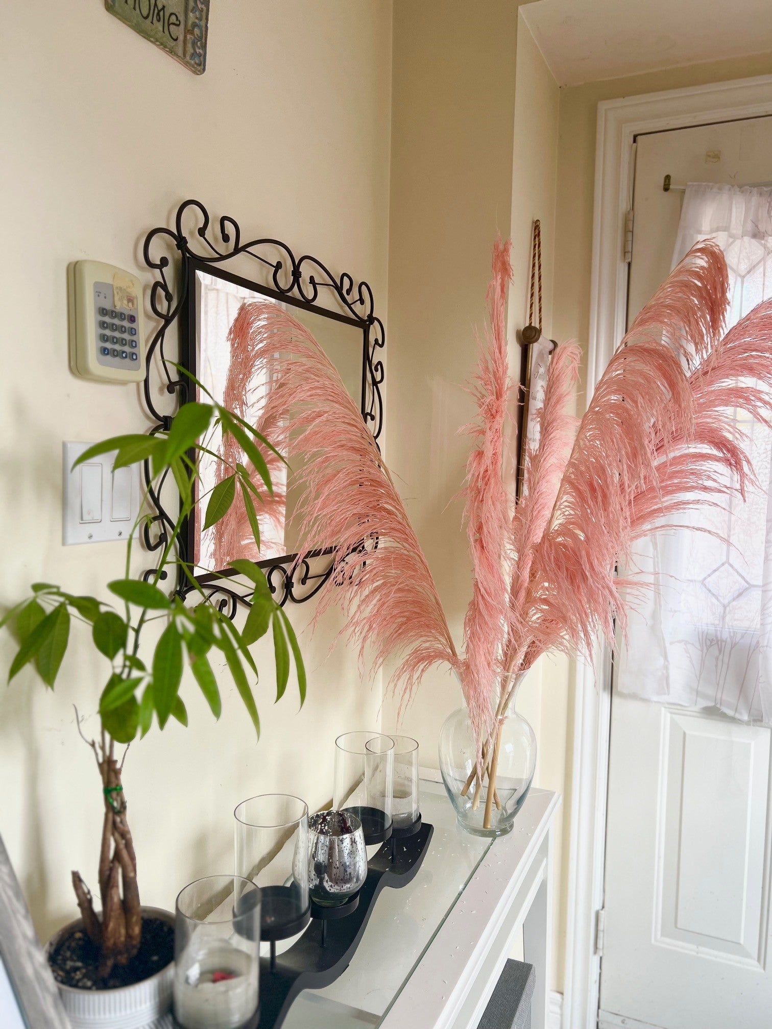 preserved silky chic pampas grass