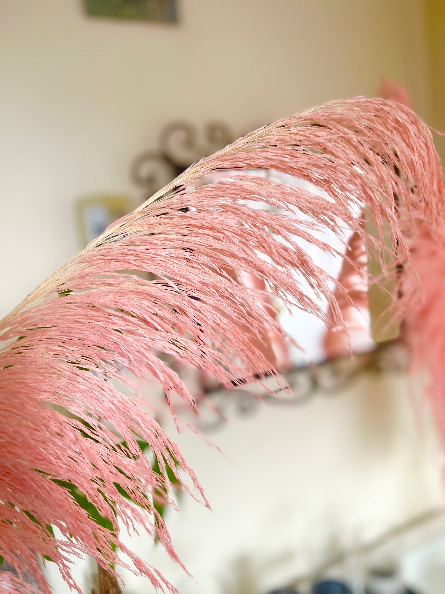 preserved silky chic pampas grass