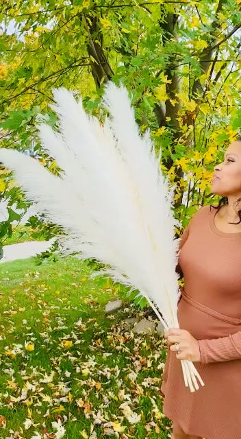 Natural Beige Pampas Grass 5 Stem Clearance