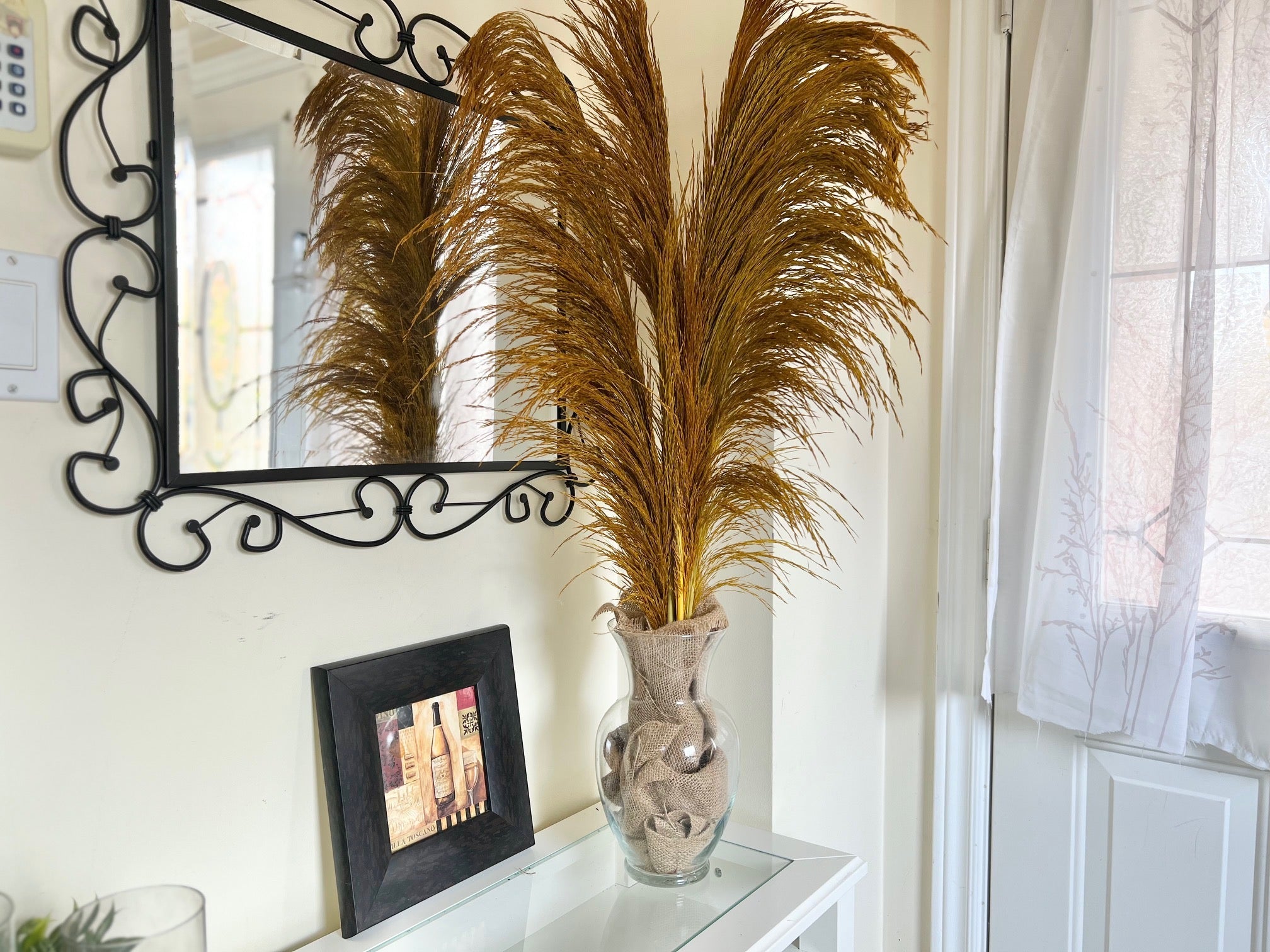 preserved silky chic pampas grass