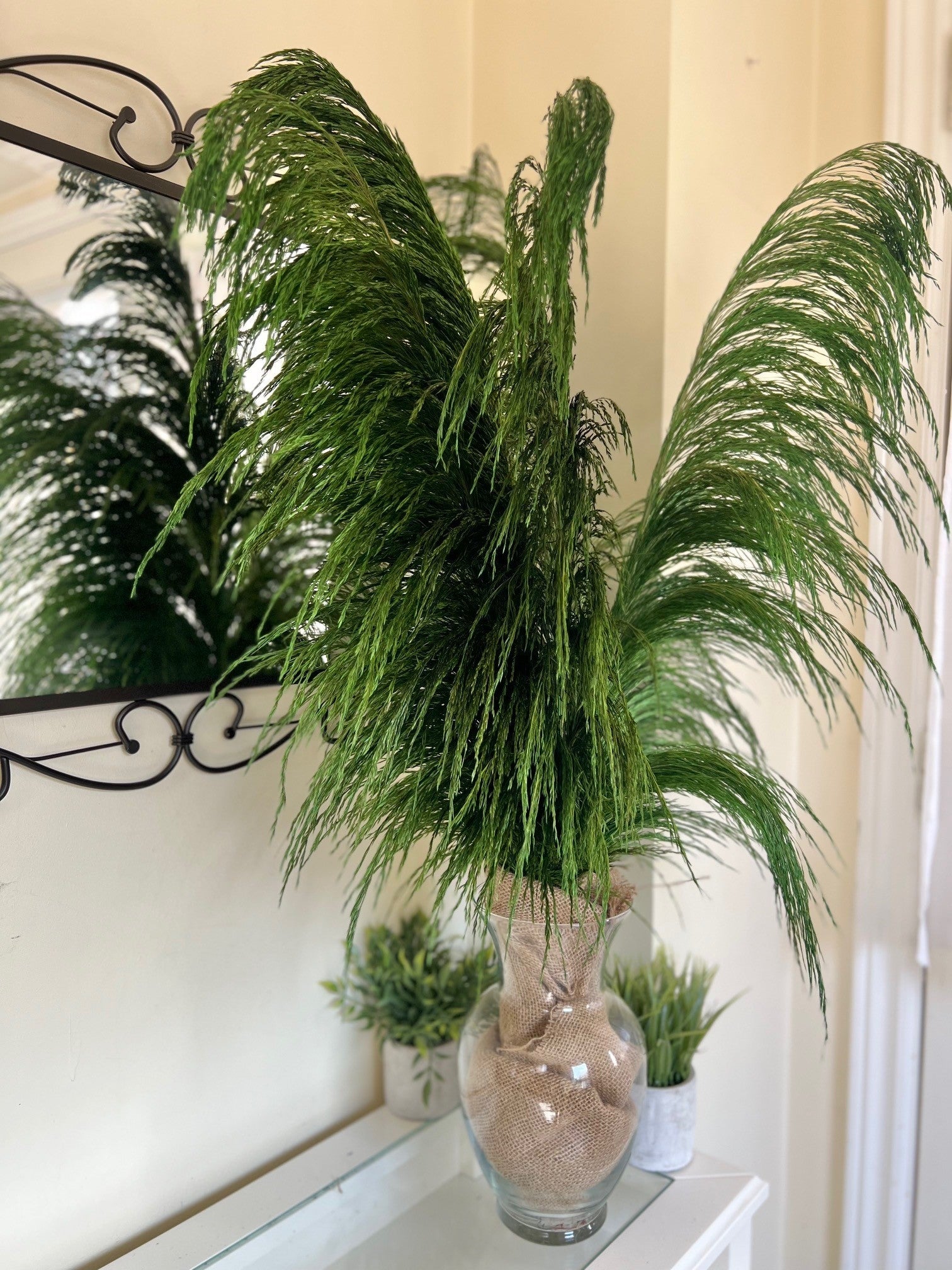 preserved silky chic pampas grass