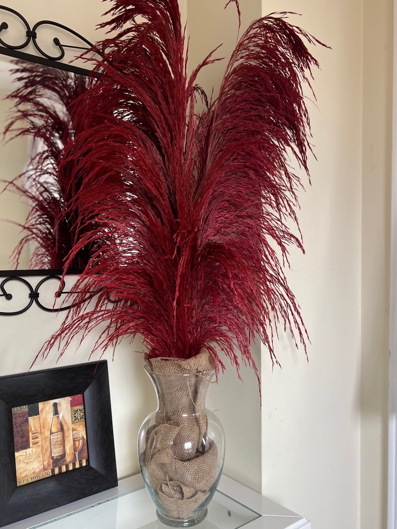 preserved silky chic pampas grass