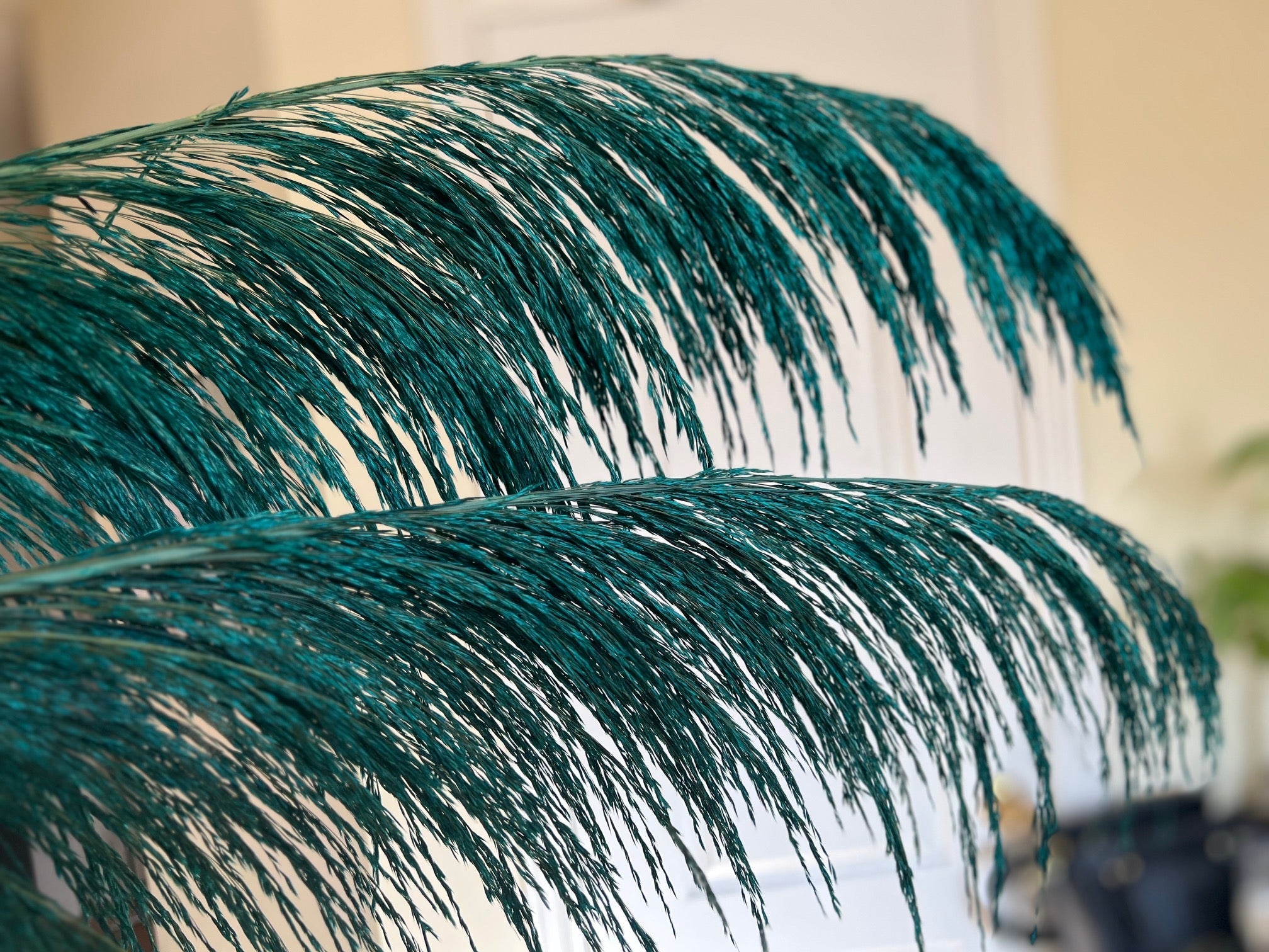 preserved silky chic pampas grass