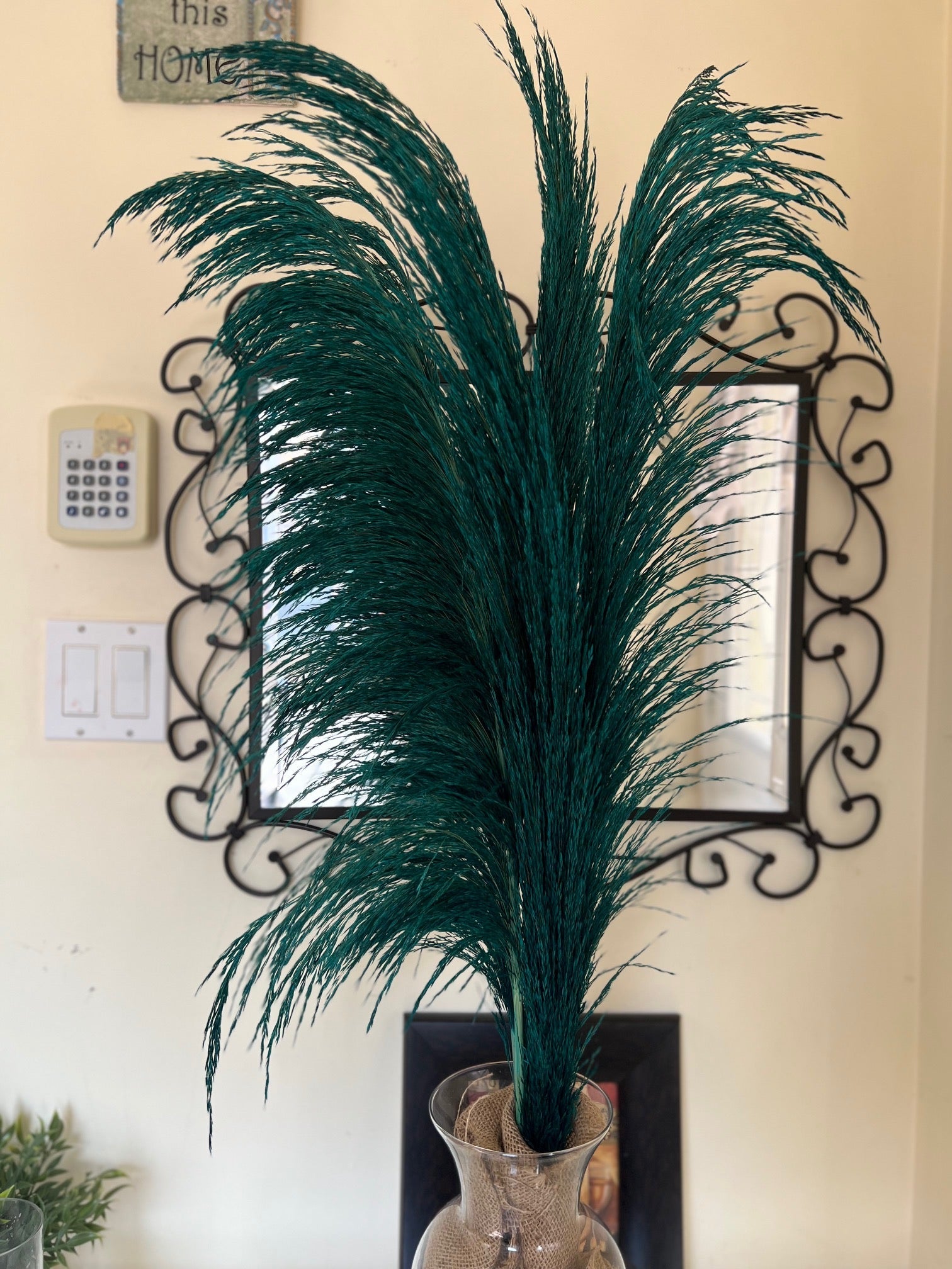 preserved silky chic pampas grass