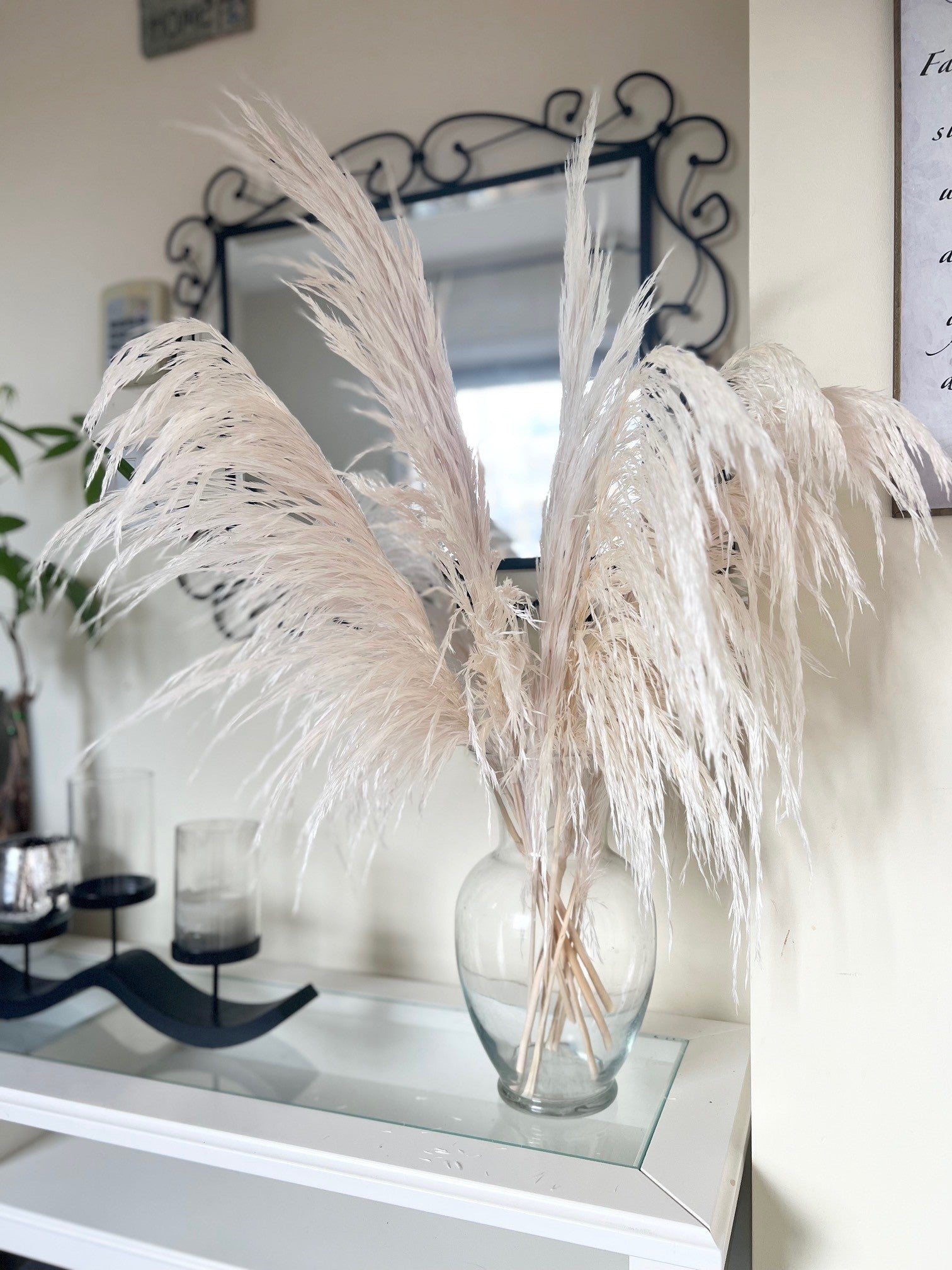 preserved silky chic pampas grass
