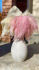 Small Preserved Pampas Grass Mini Fluffy Stems