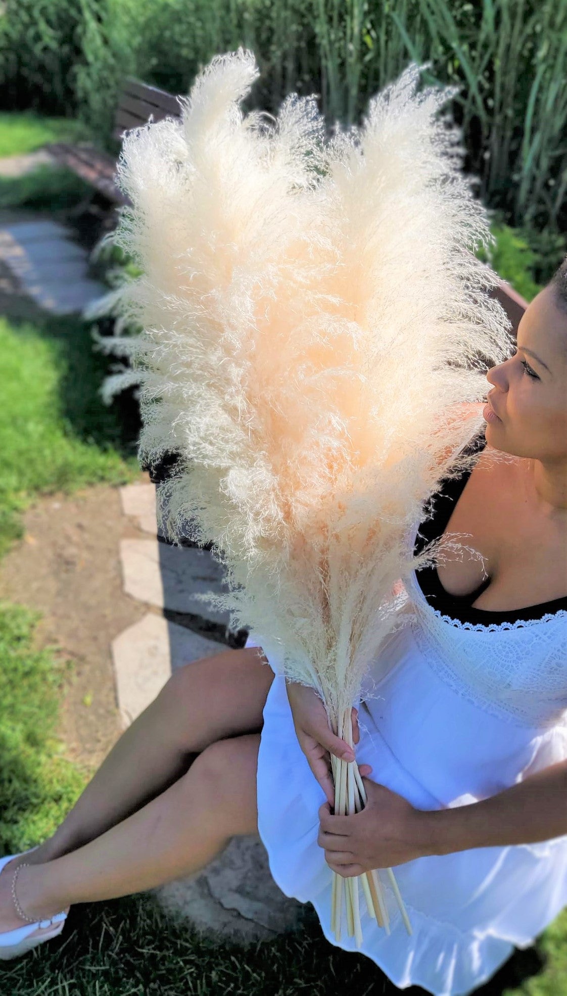 White lush pampas grass