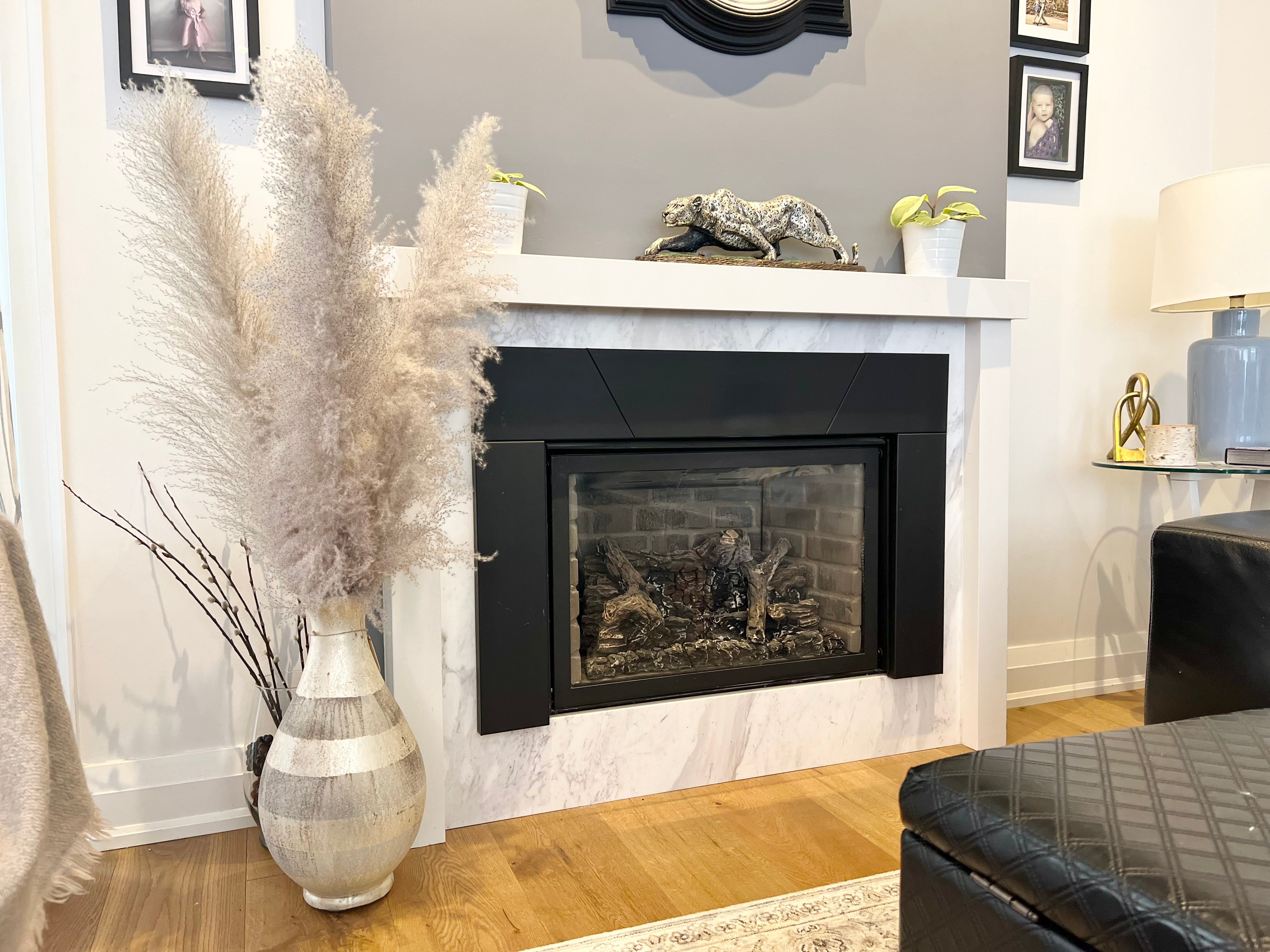 Grey Pampas Grass