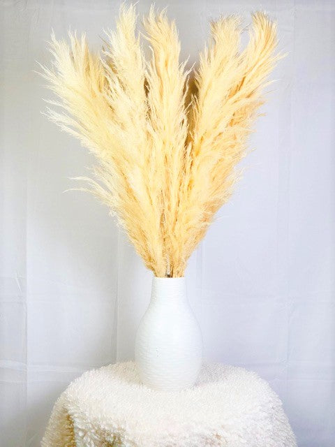 Golden Beige 10 Stems Natural Pampas Grass