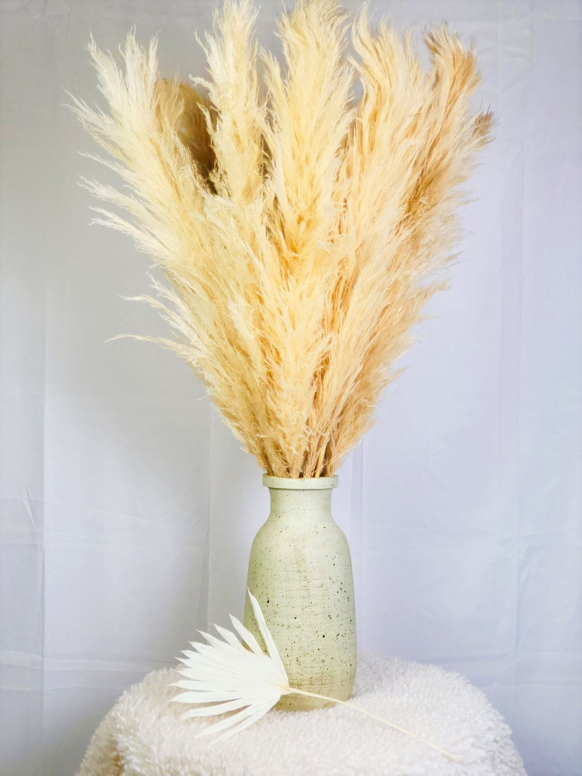 Golden Beige 10 Stems Natural Pampas Grass