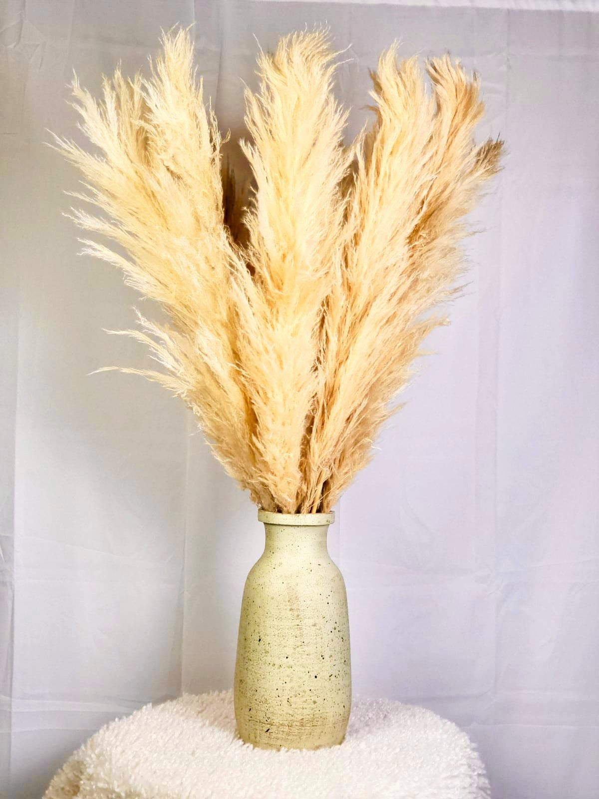 Golden Beige 10 Stems Natural Pampas Grass