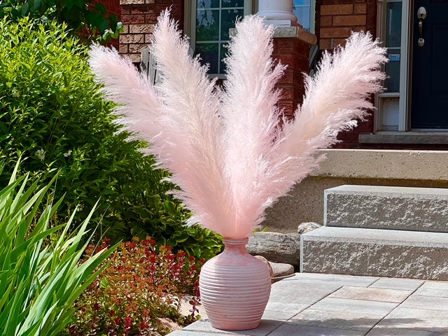 fluffy pampas grass decor