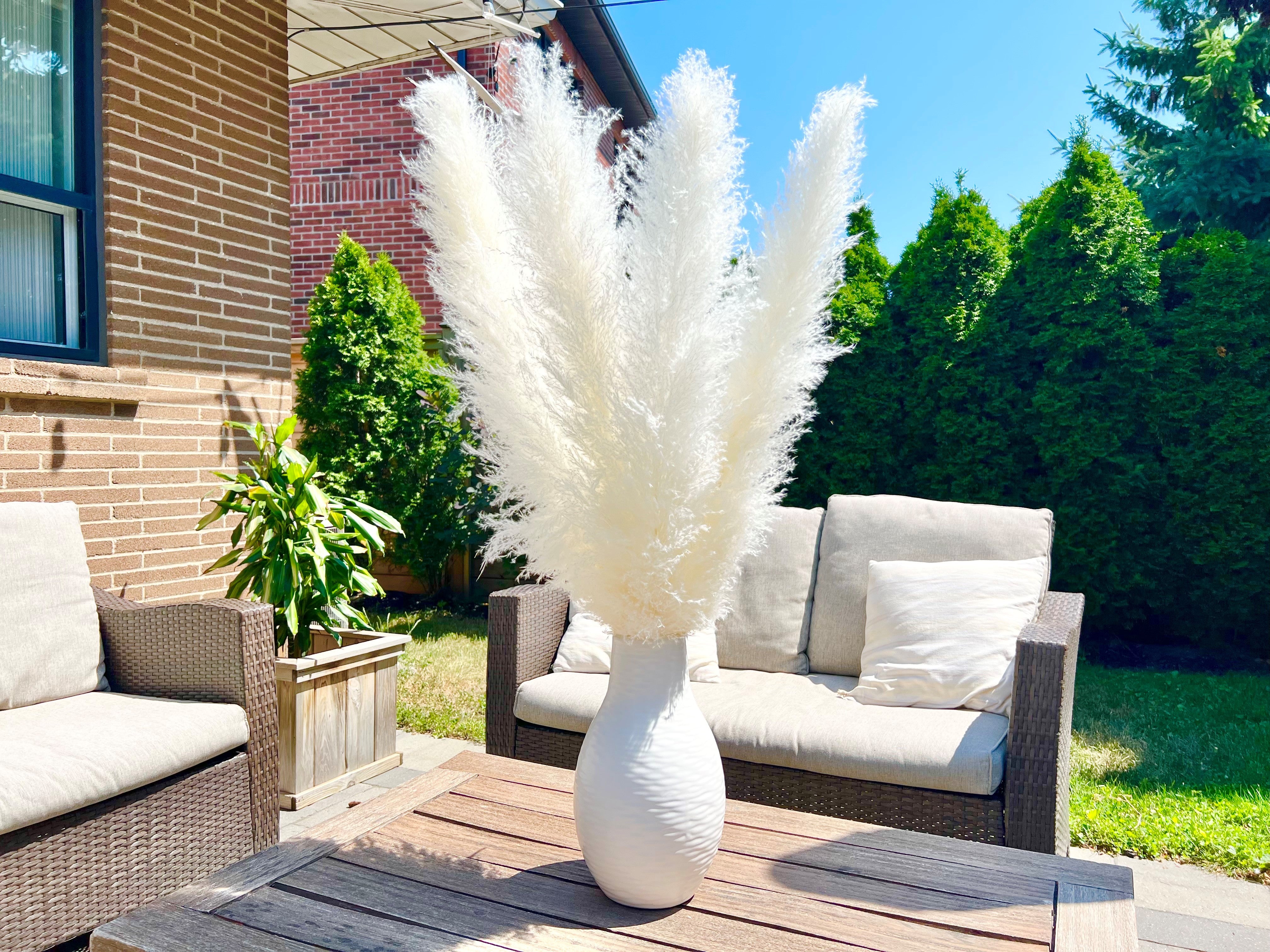 White Pampas Grass dried flower arrangements 