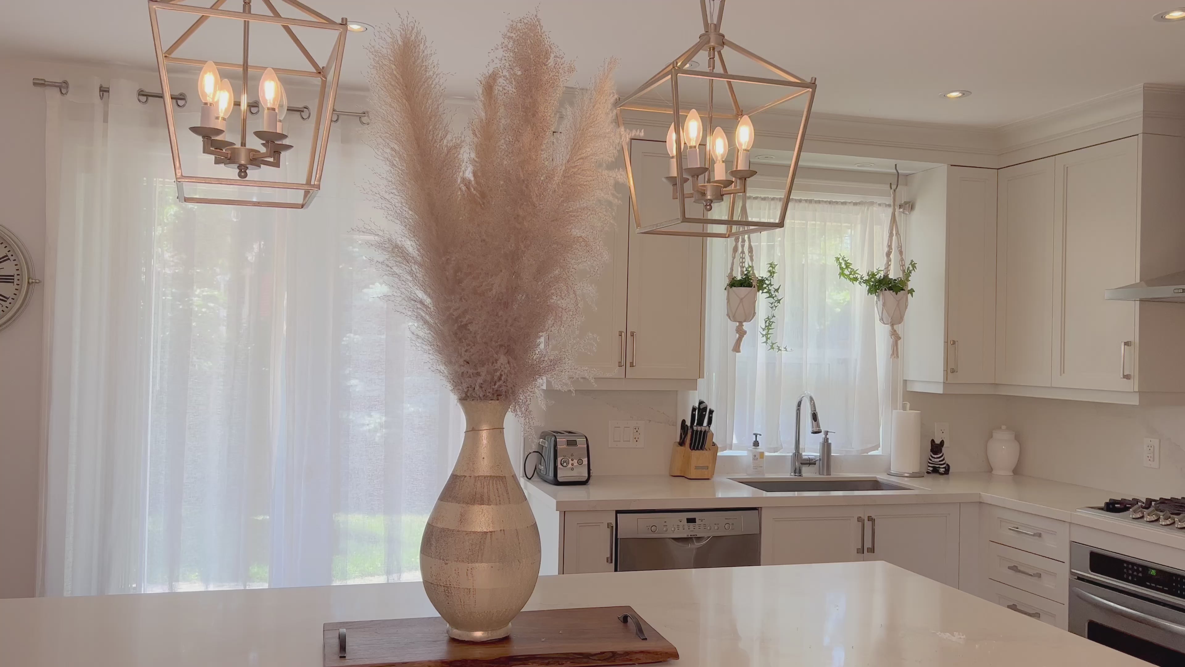 GREY PAMPAS GRASS1