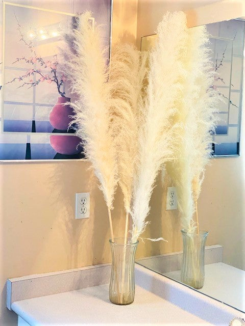 Pampas Grass